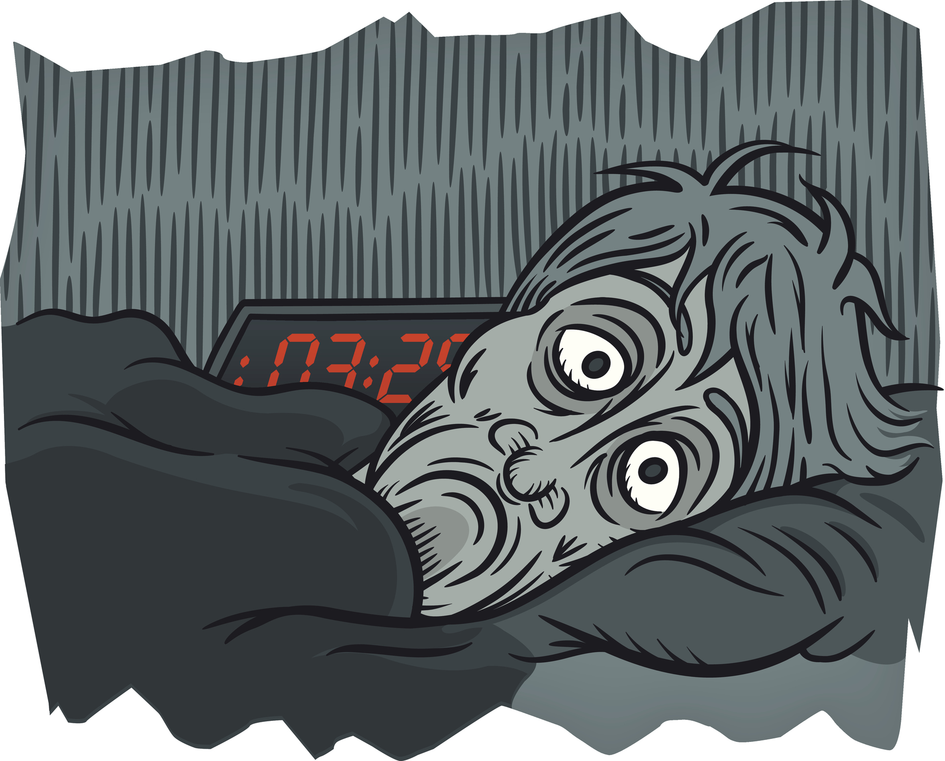 7-curas-historicas-contra-el-insomnio.jpg