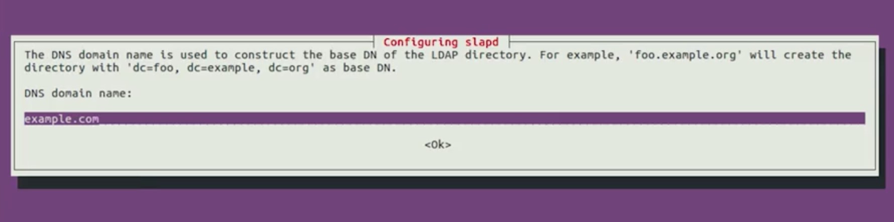 dns name.jpg