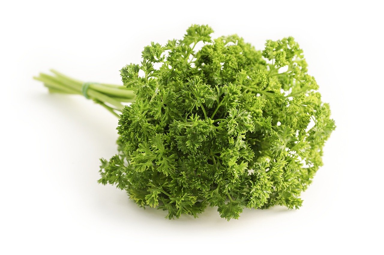 parsley-1665402_1280.jpg