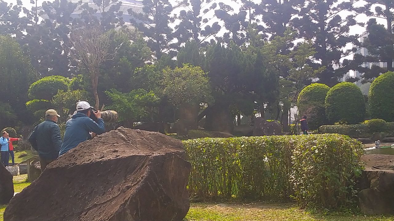 photo6186157008814713419.jpg