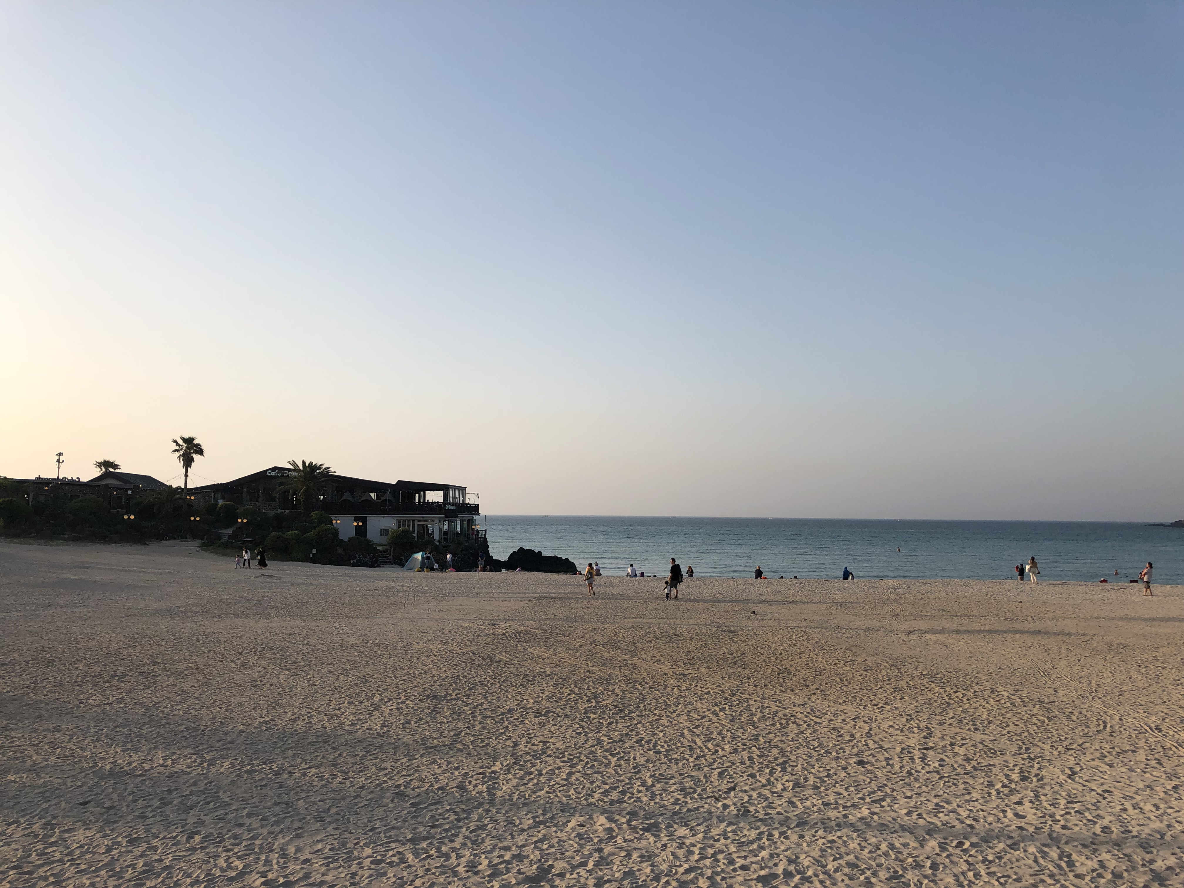 IMG_2748.jpeg