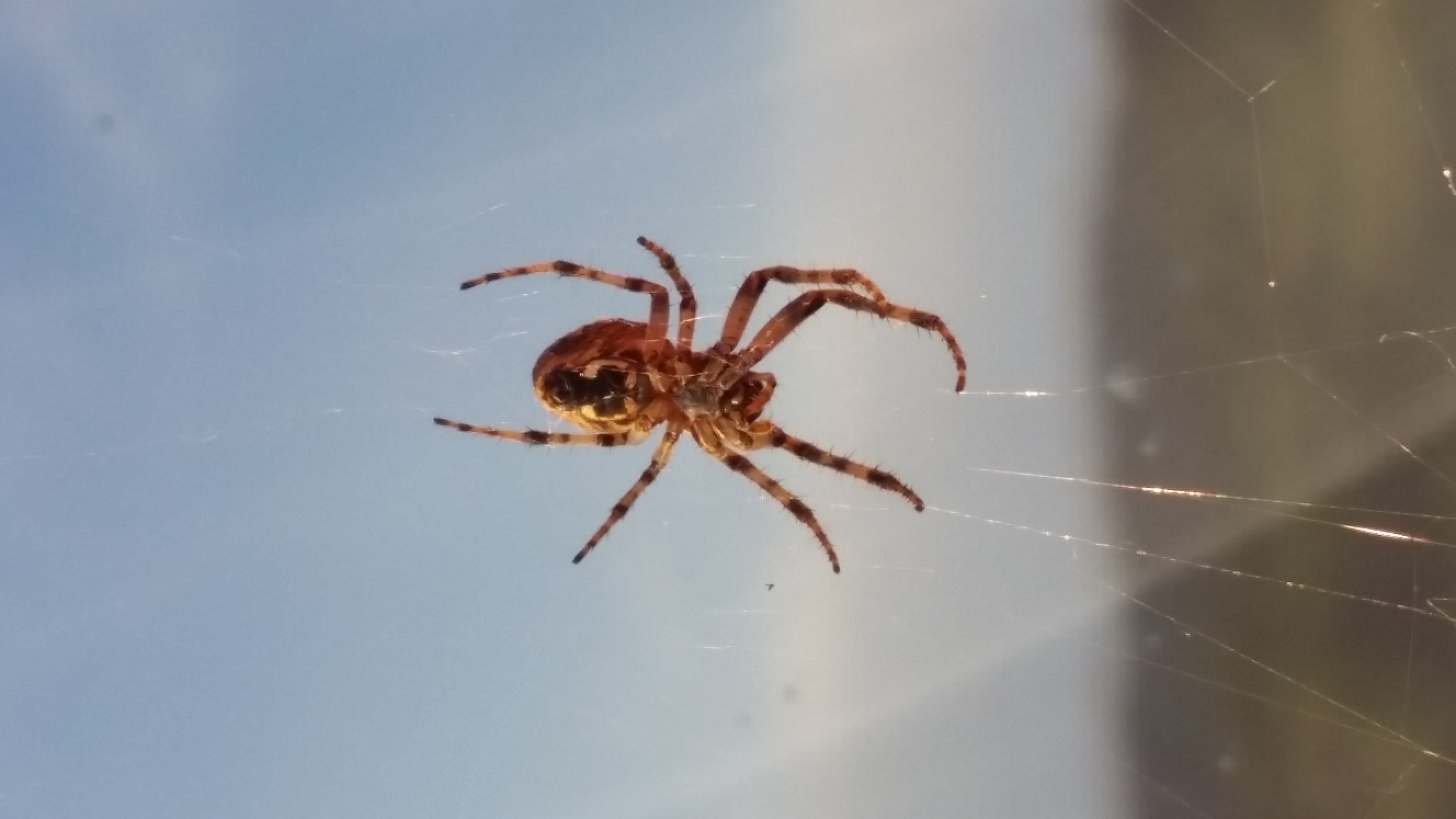 20180531_193553.jpg