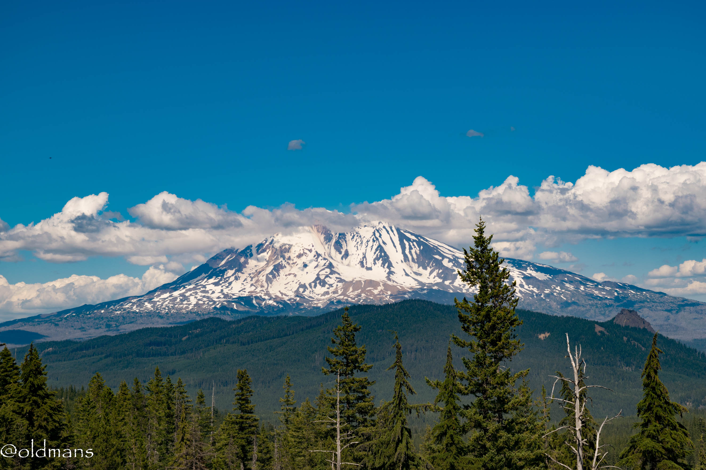 Adams steamboat (1 of 1)-2.jpg