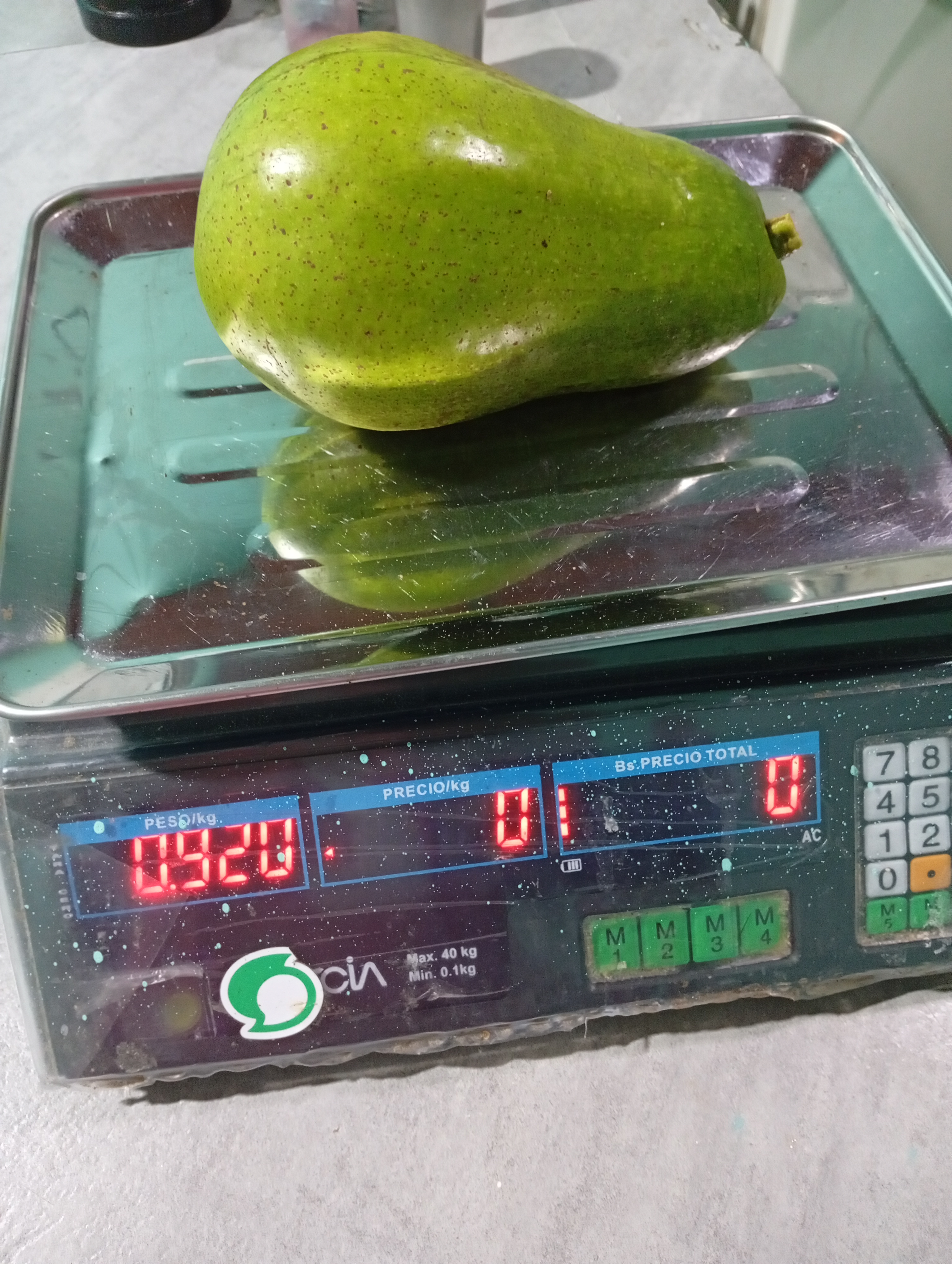 1000914694.jpg