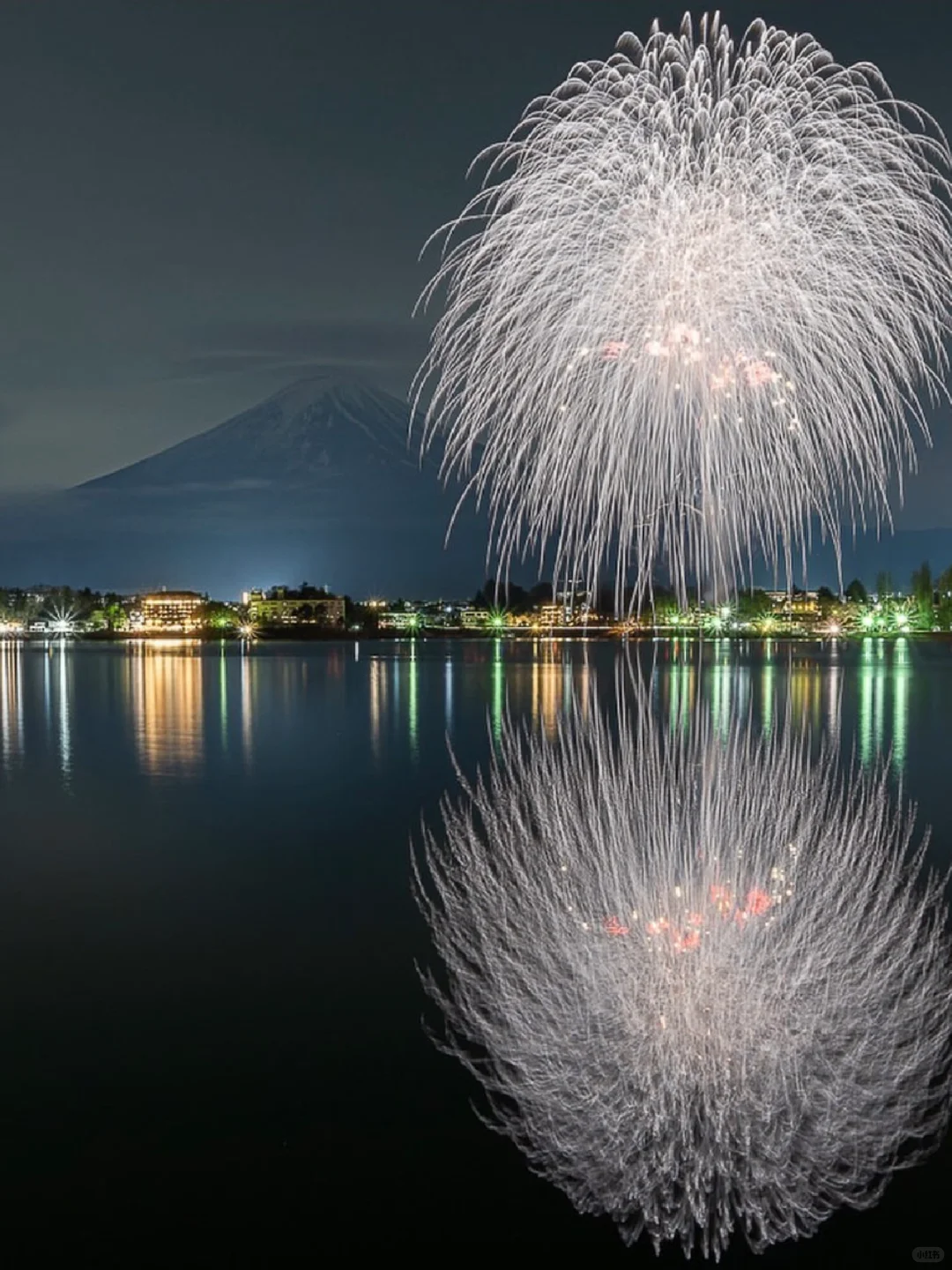 253.webp