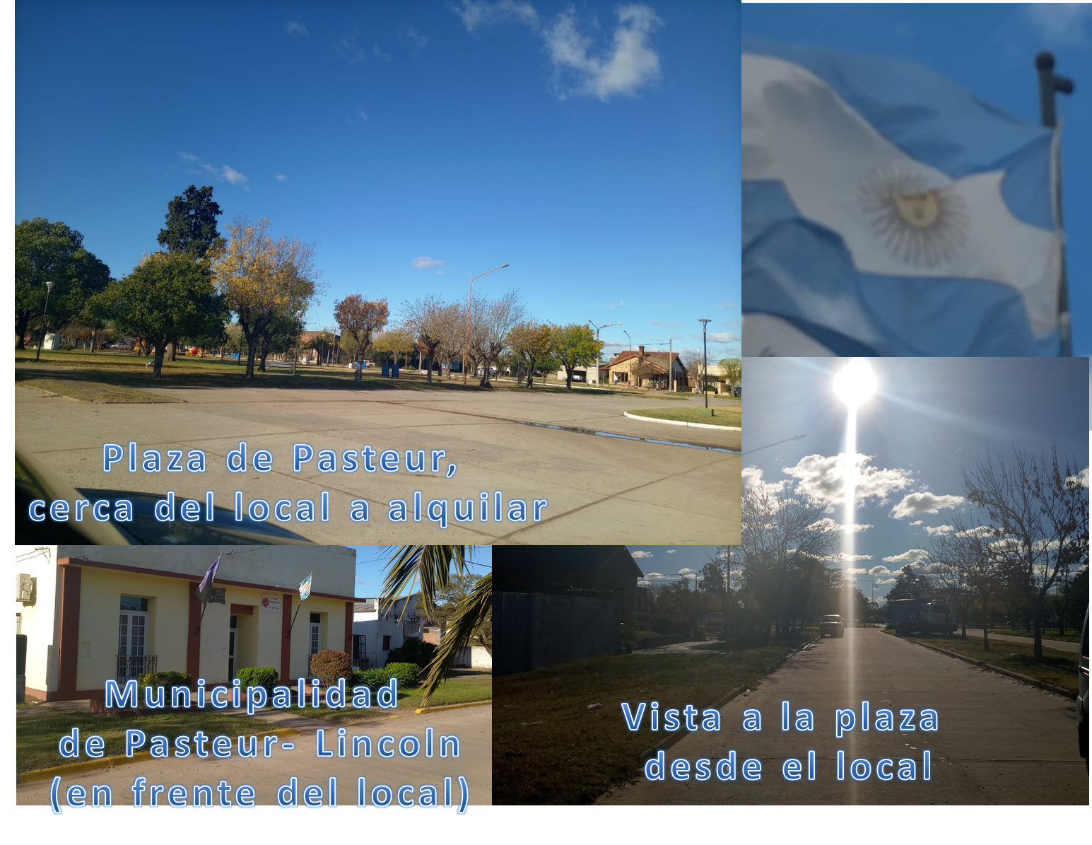 pasteur local.png