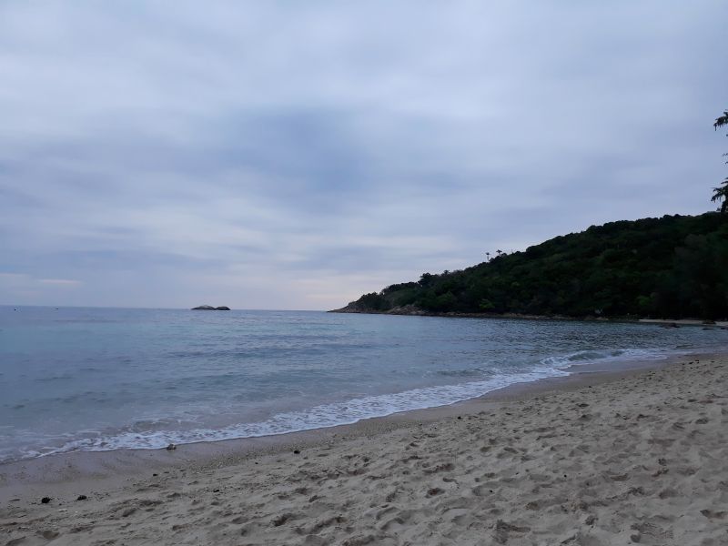 p28.jpg