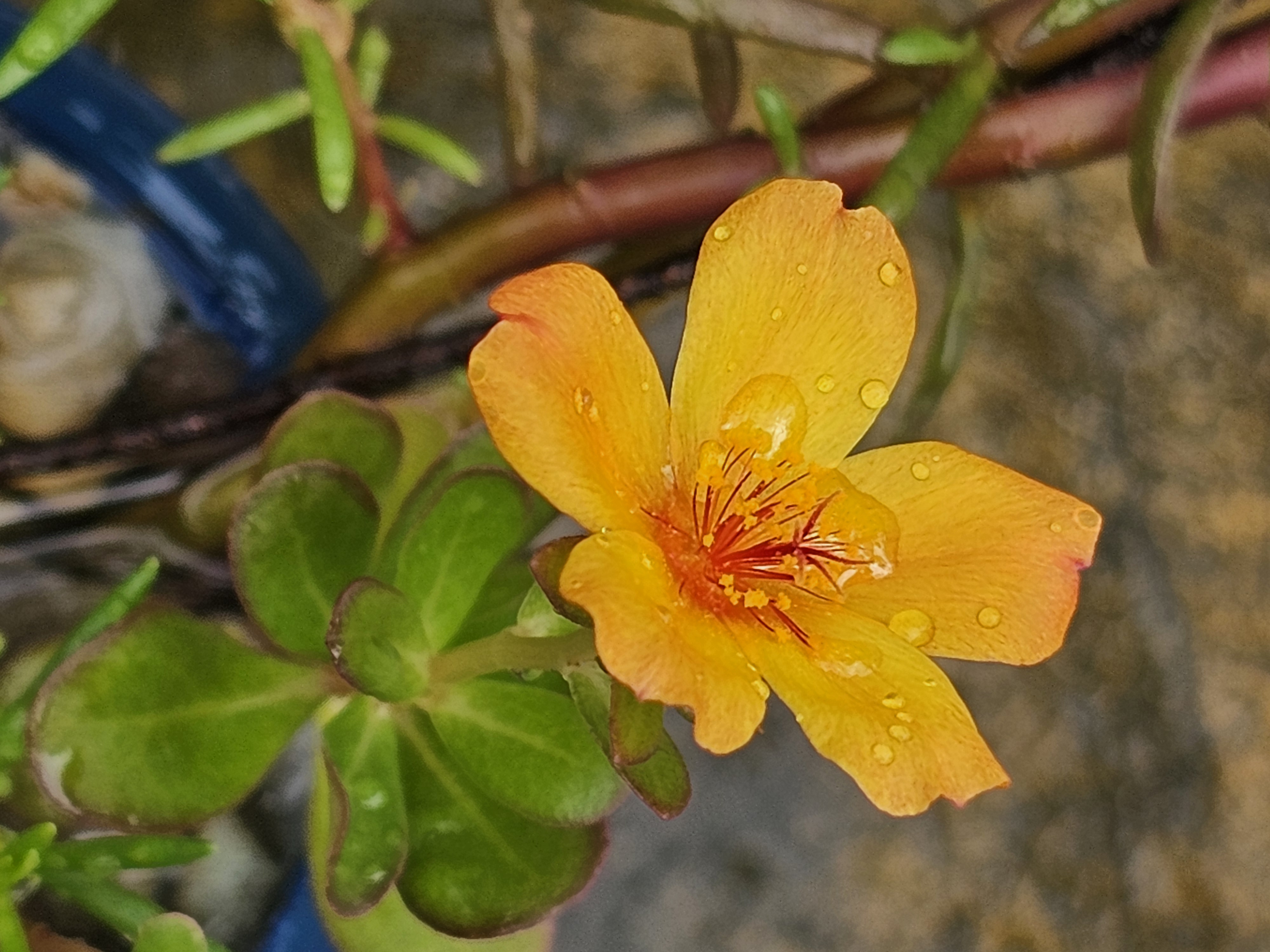 20250618_104512.jpg