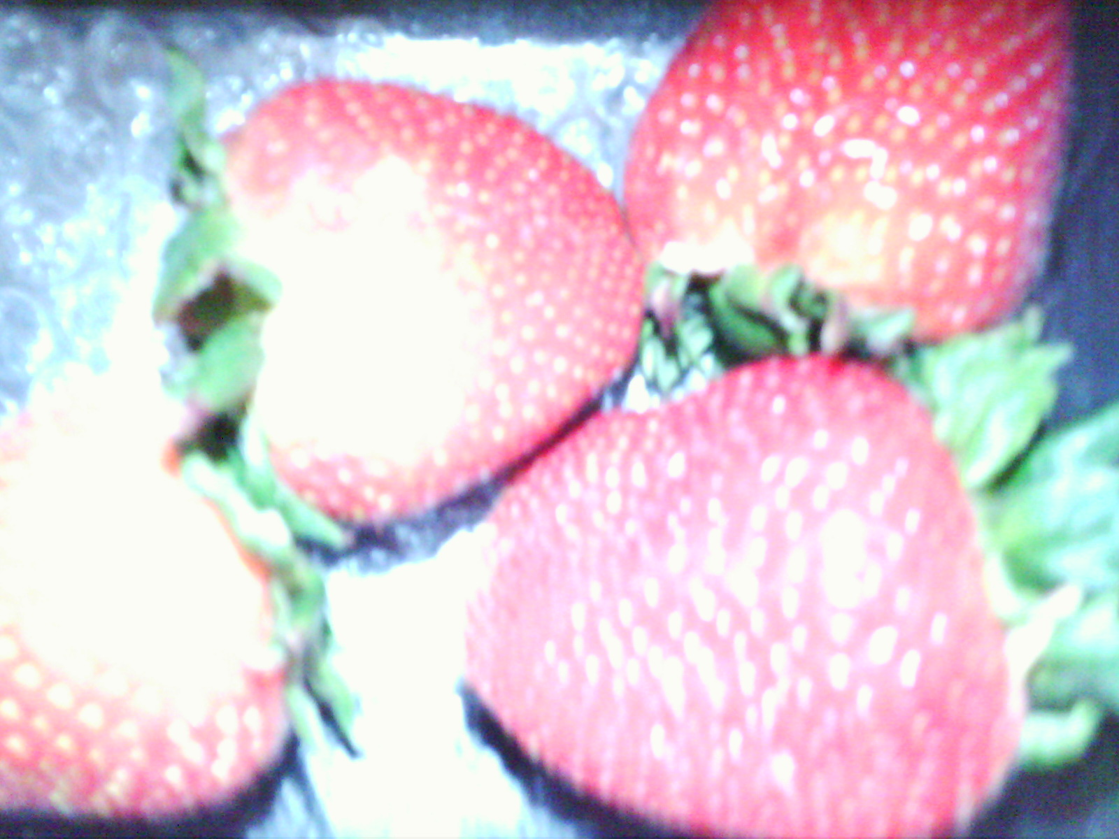 100_0225.JPG