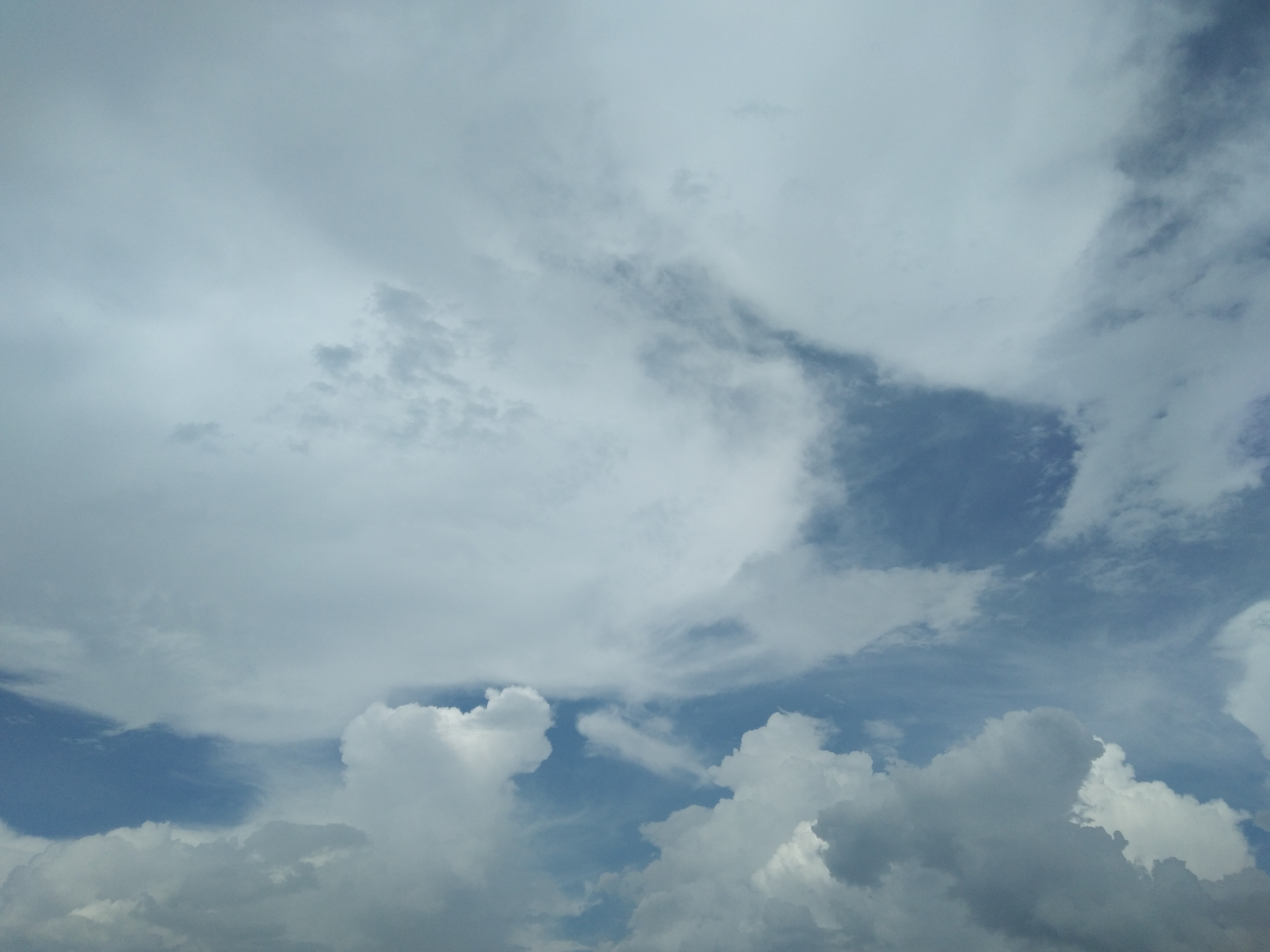 IMG_20201003_135540.jpg