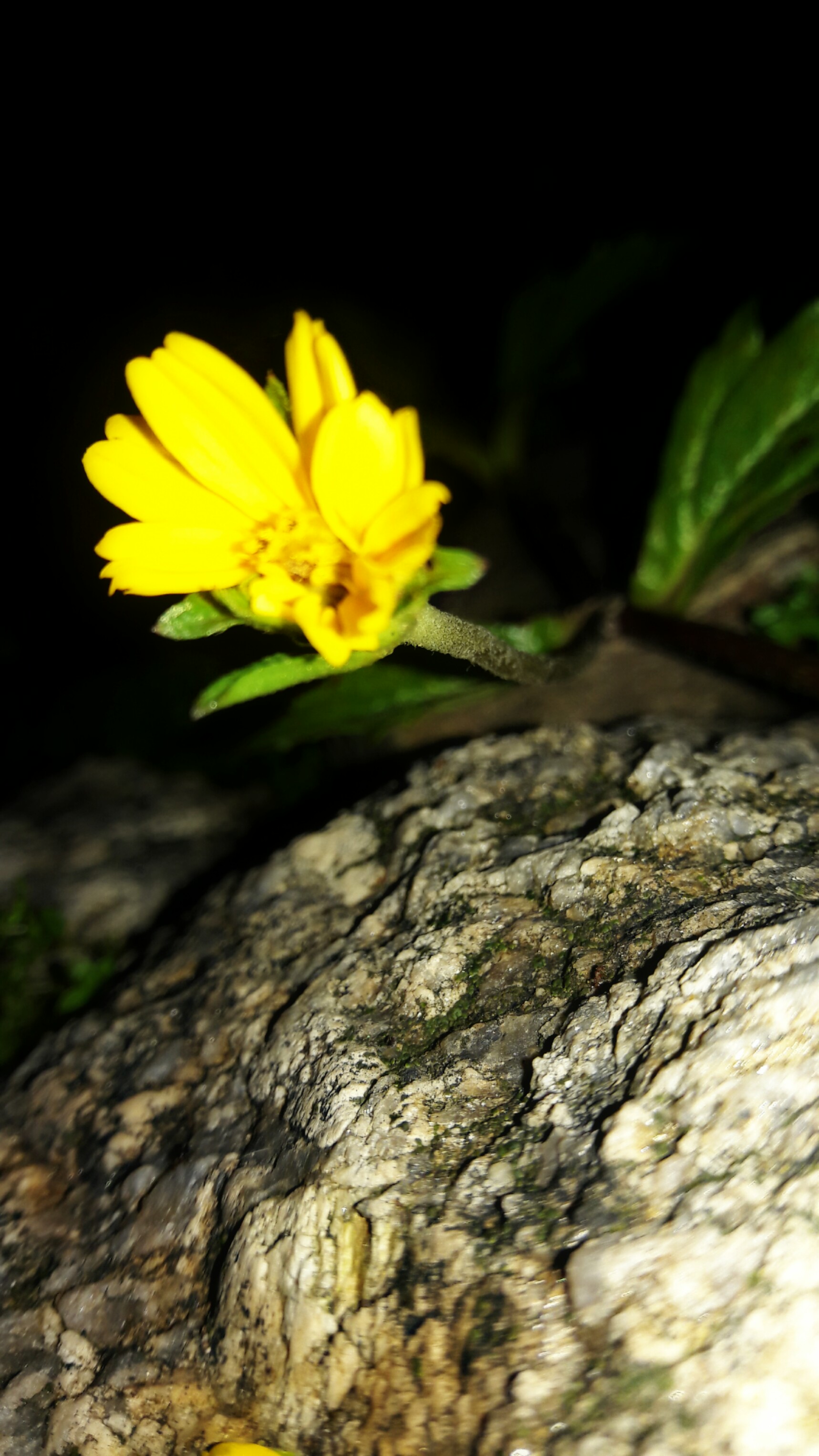 PicsArt_06-20-07.19.36.jpg