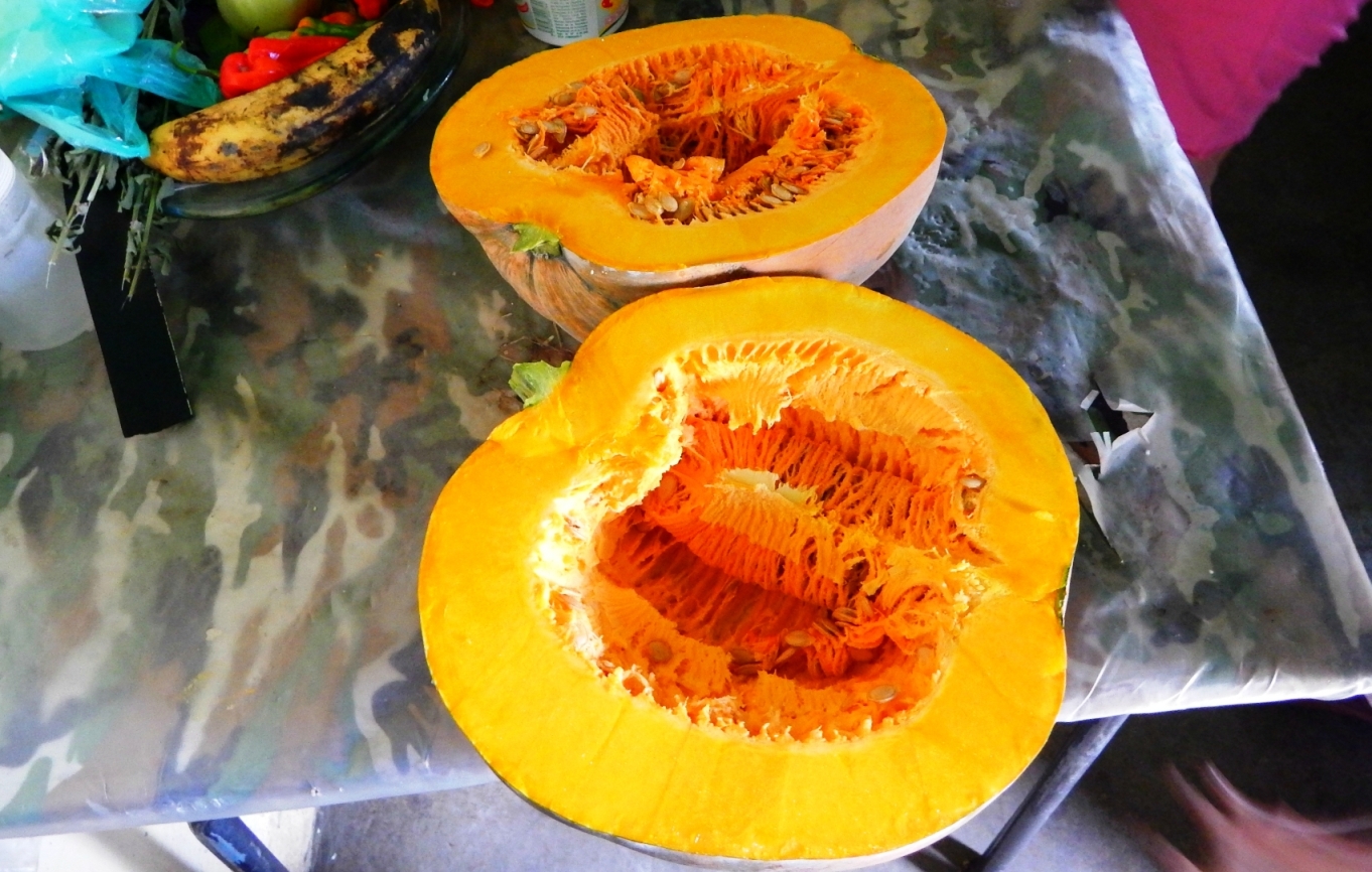 DSCN9149.jpg