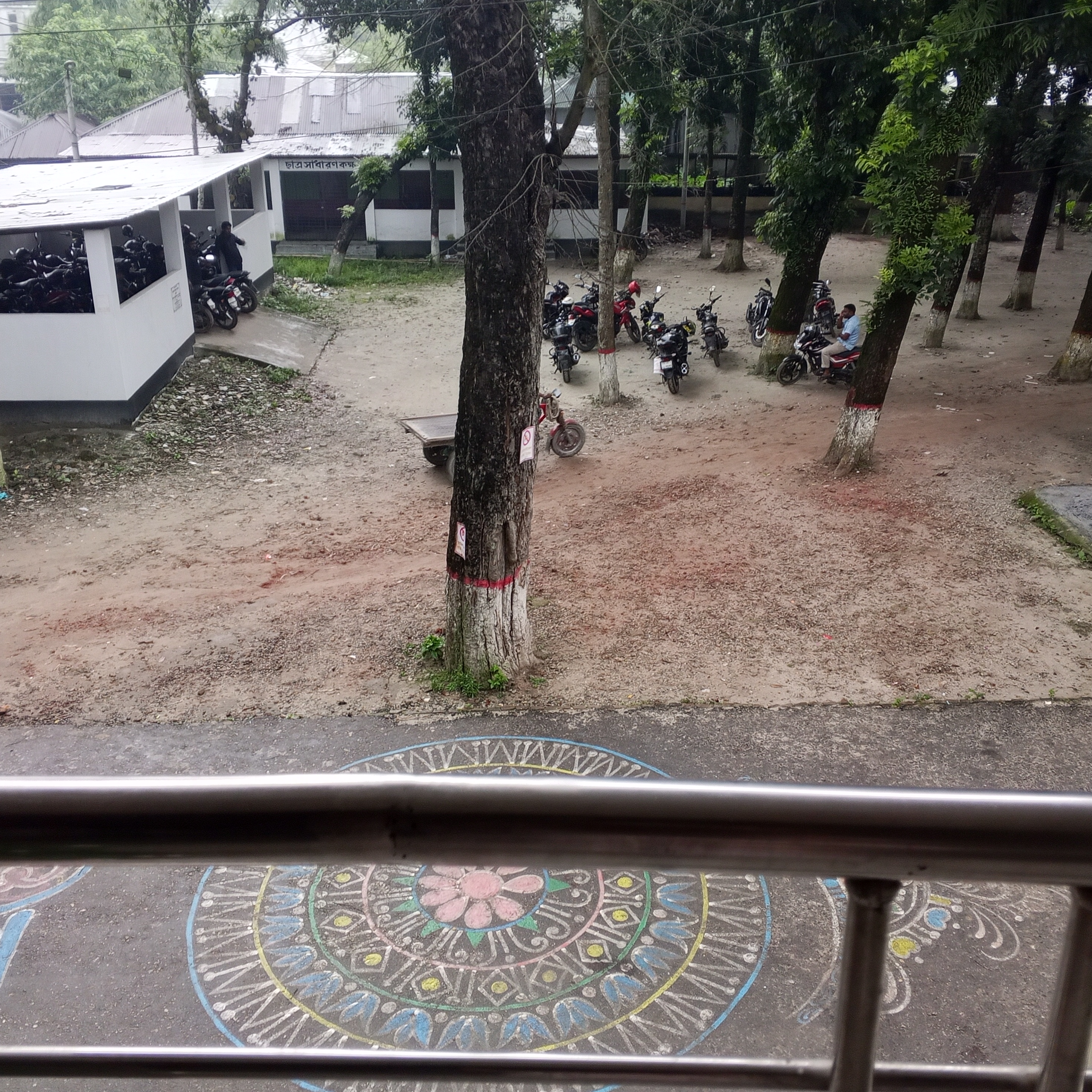 40229.jpg