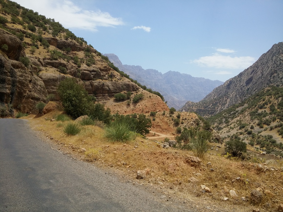 20150724_125158.jpg