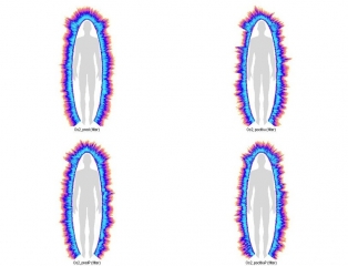 PHOTO.jpg