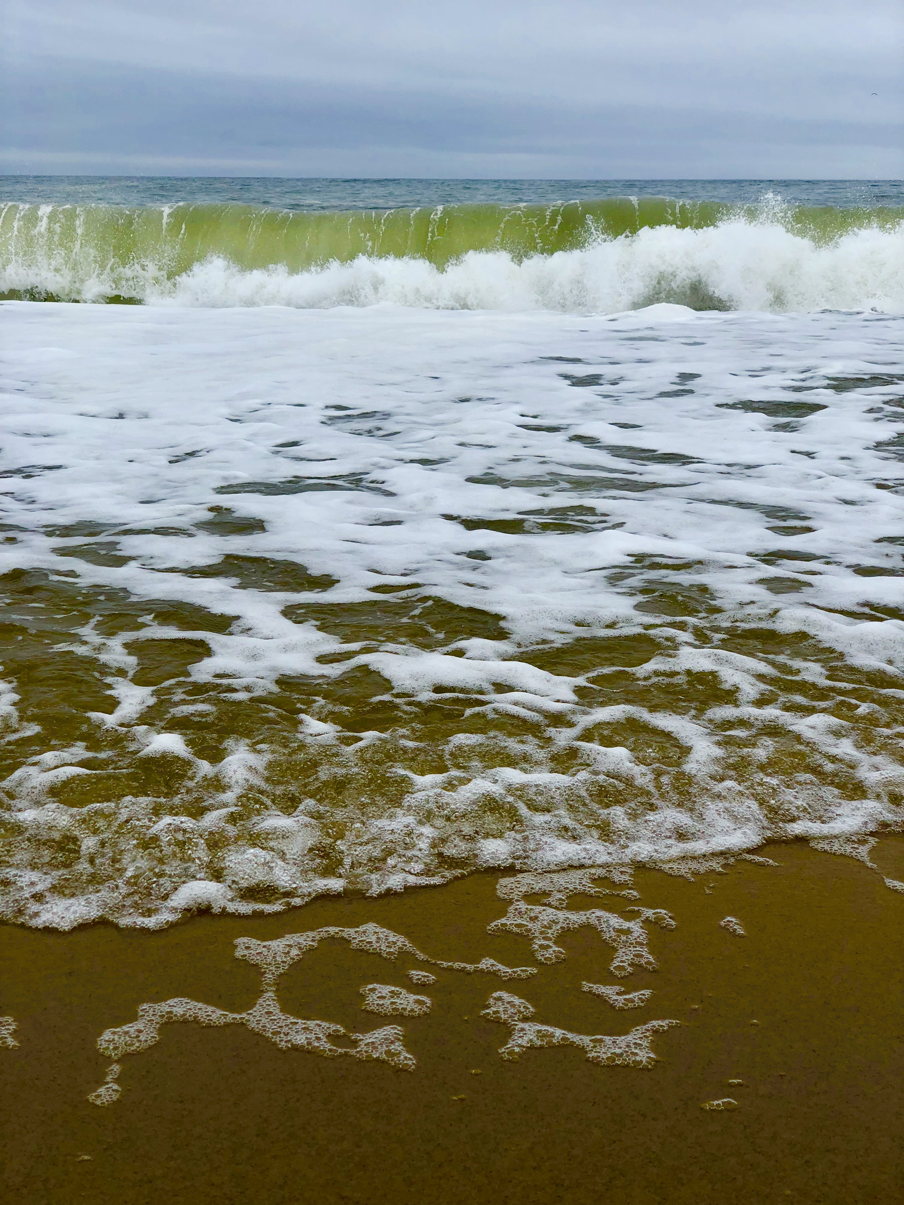 CCCA36C9-215D-4497-A011-E9D76F71EFBD.jpeg