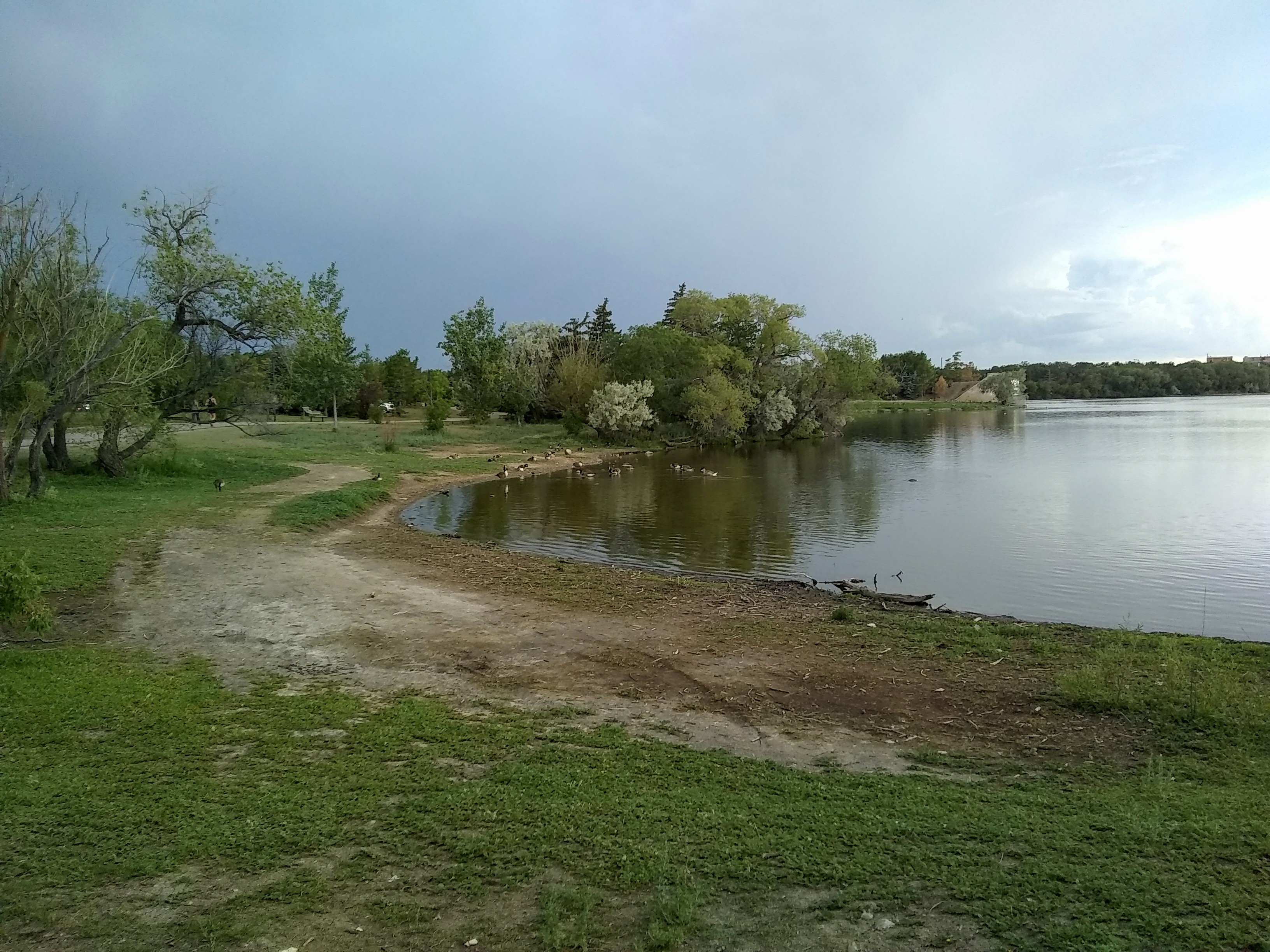 Regina Wascana Park d.jpg