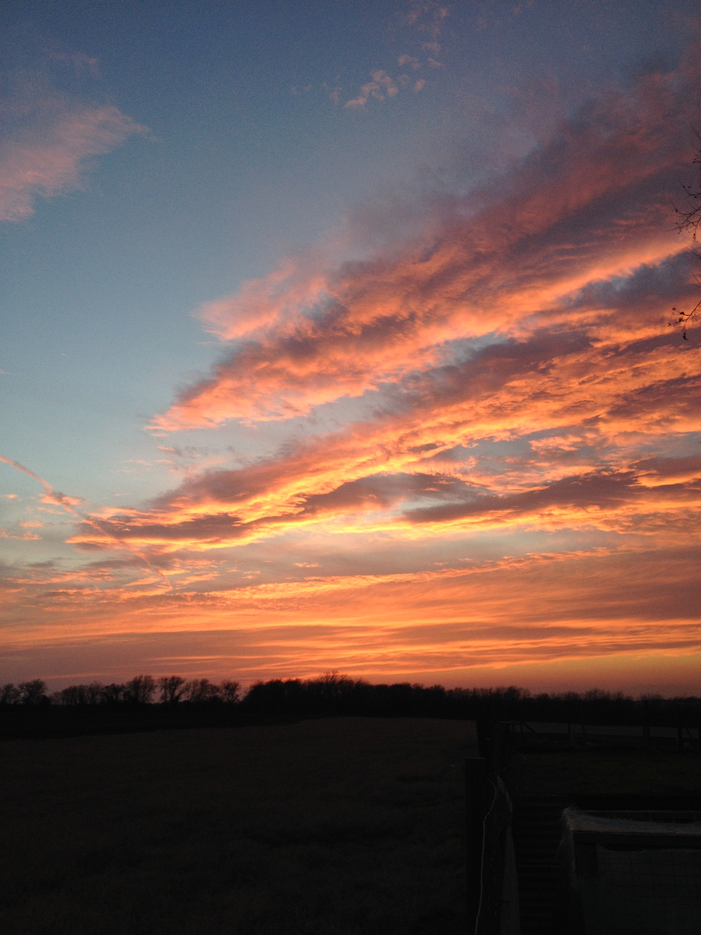 sunset taylor 1-1000.JPG
