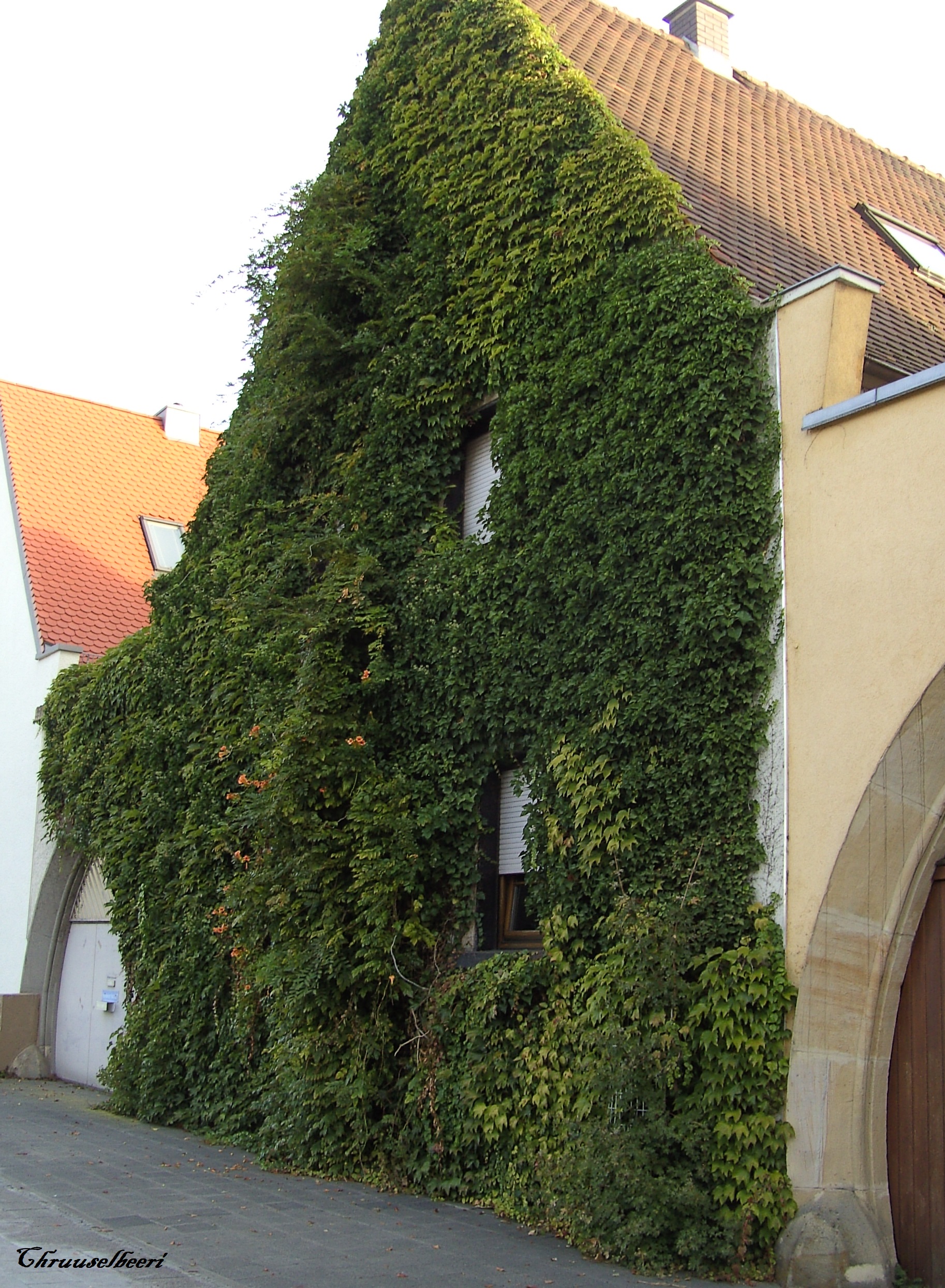 Begruente_Fassade_02.jpg