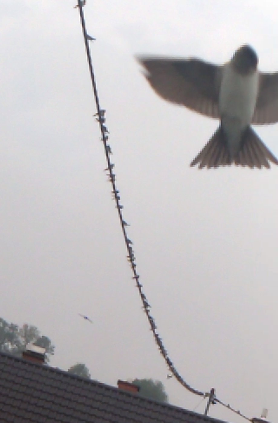 WP_20180906_08_52_46_Moment (2).jpg