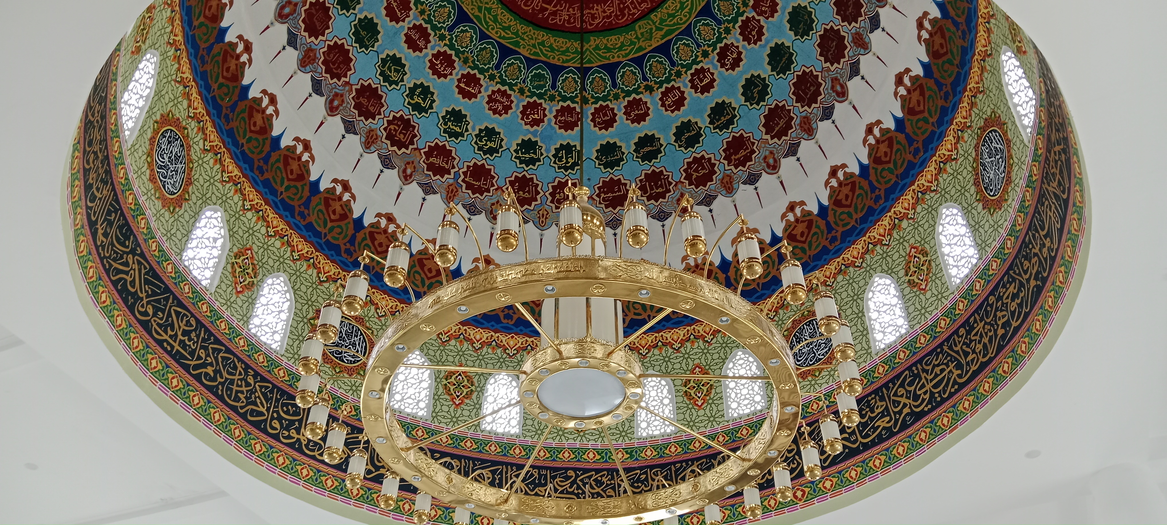 1000202049.jpg