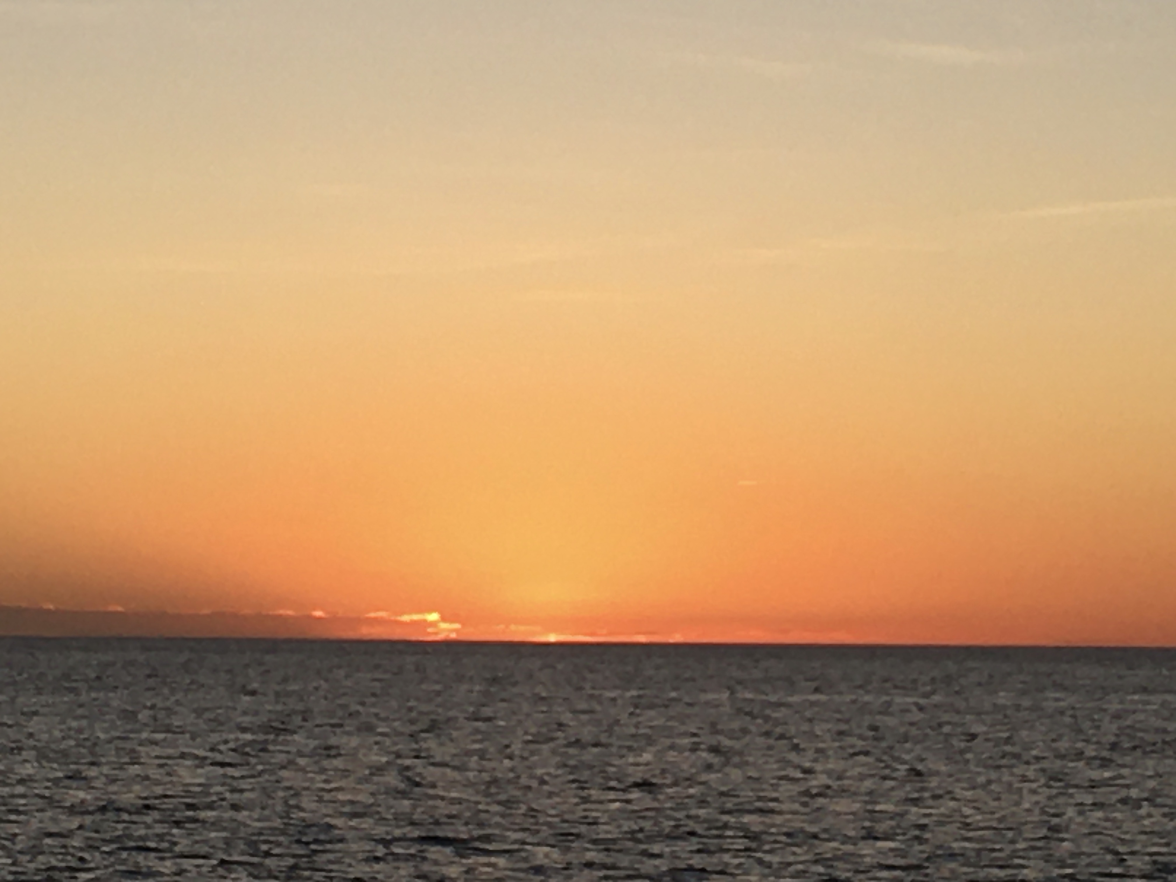 IMG_1187.jpeg
