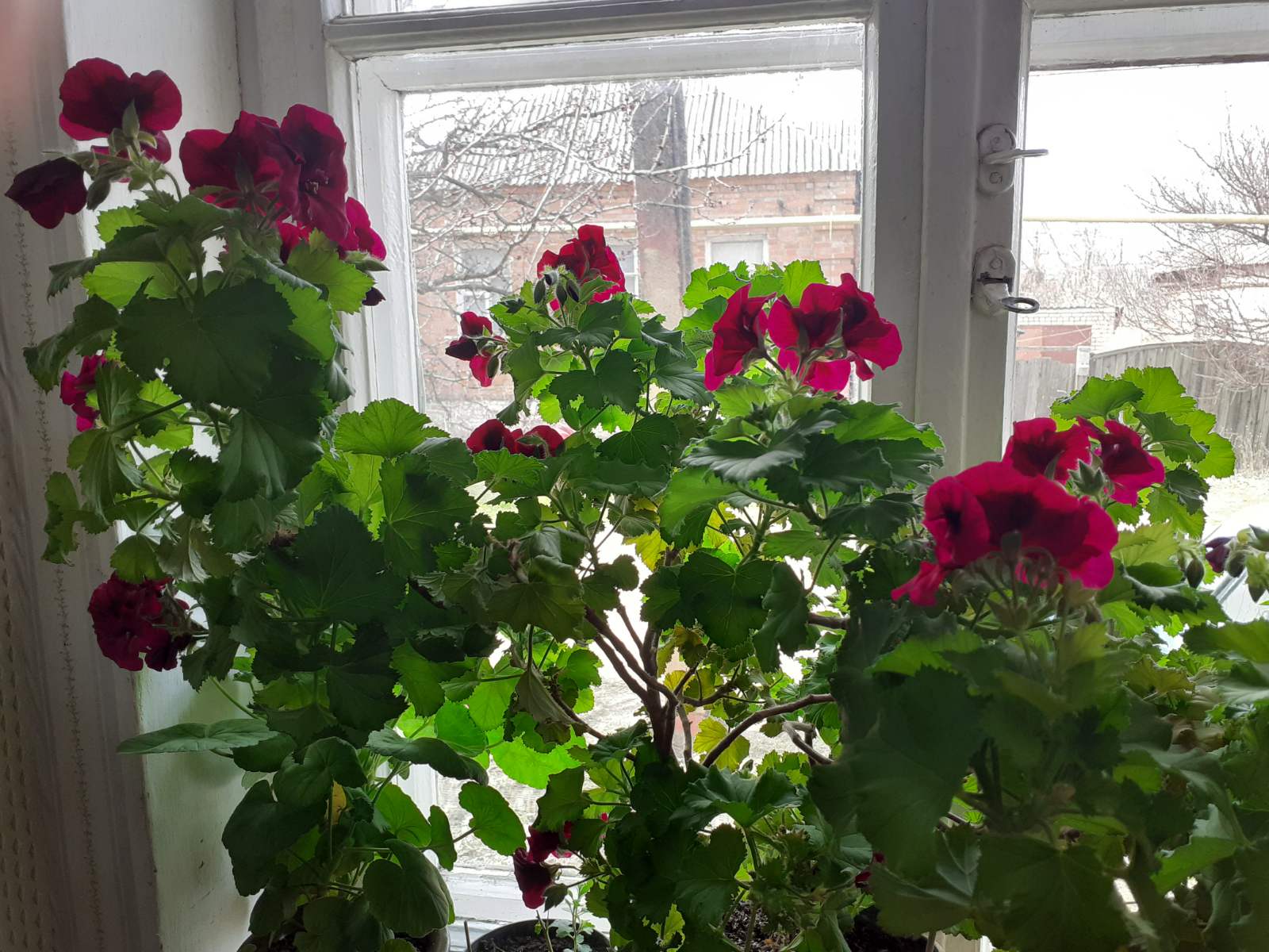 изображение_viber_2021-04-11_13-31-52.jpg