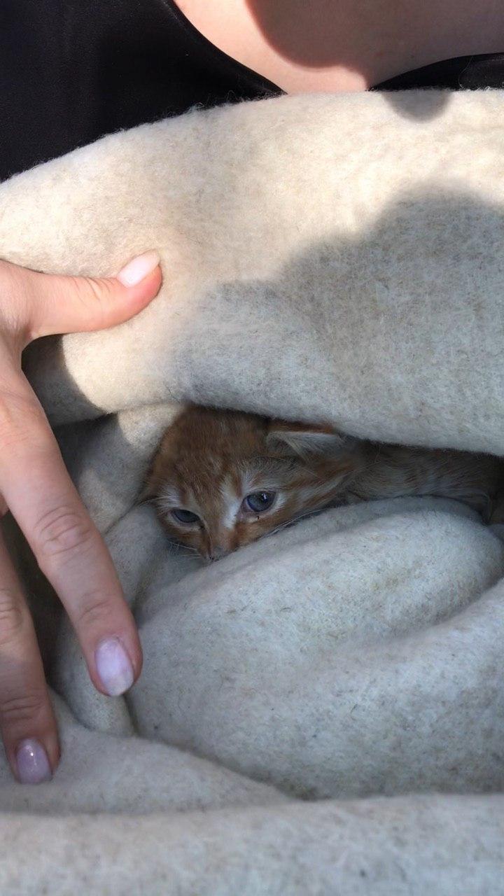 photo_2020-09-12_11-26-15 (2).jpg