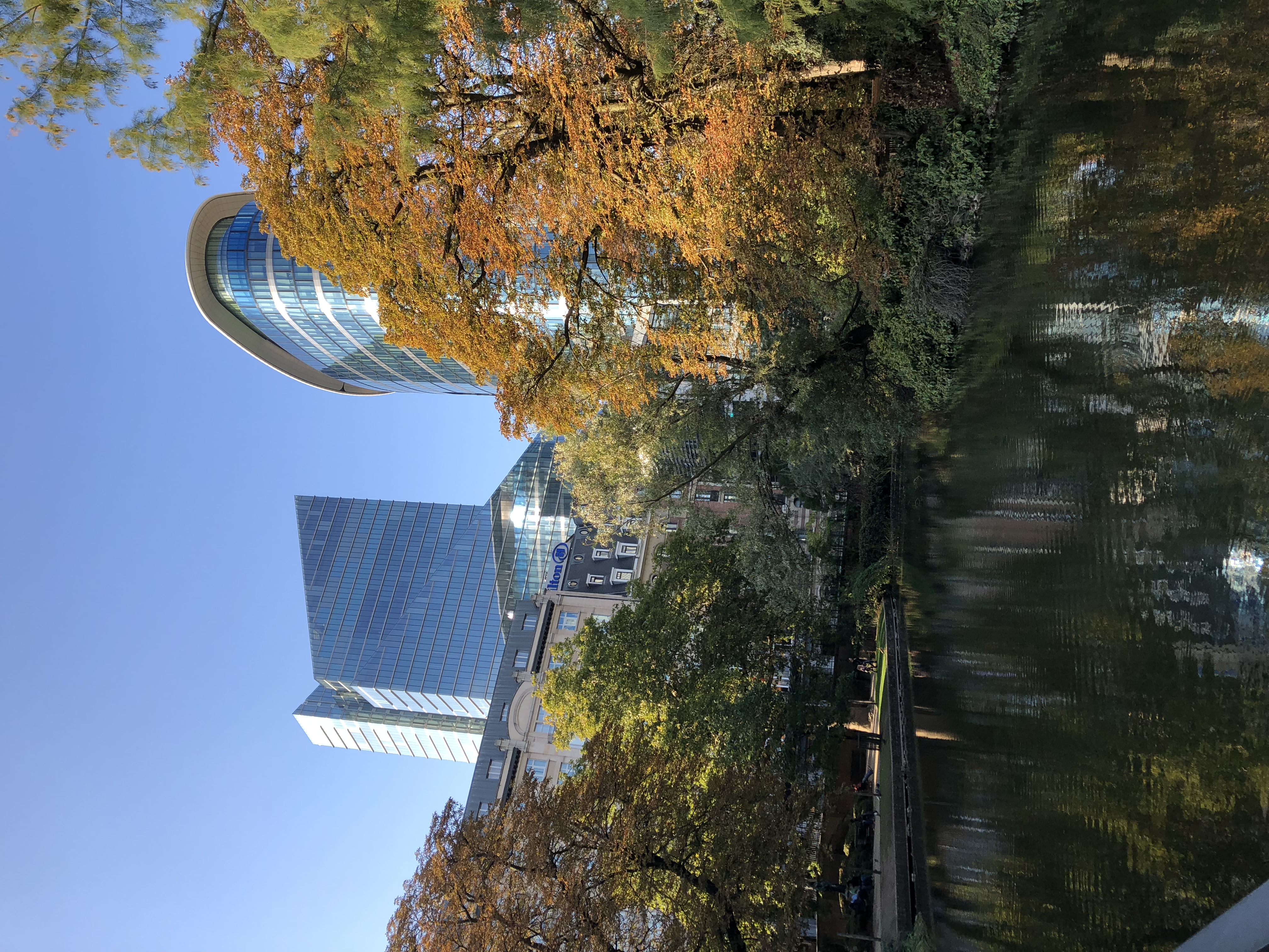 D1E2AA2D-4929-4C0F-8140-2C454608A305.jpeg