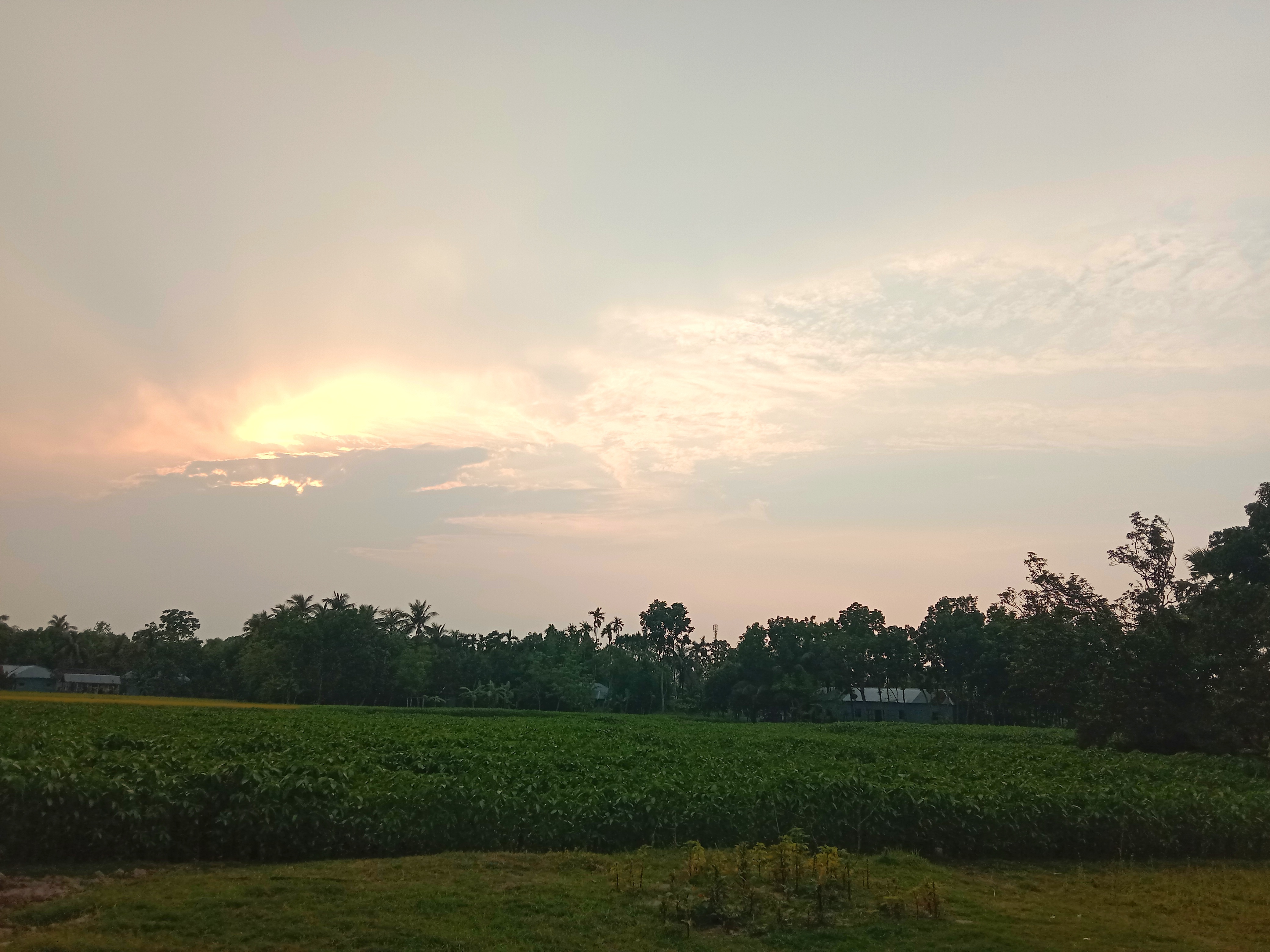 IMG_20260720_112040.jpg