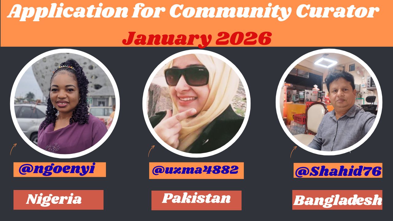 Application for Community Curators for January 2026 (5).jpg