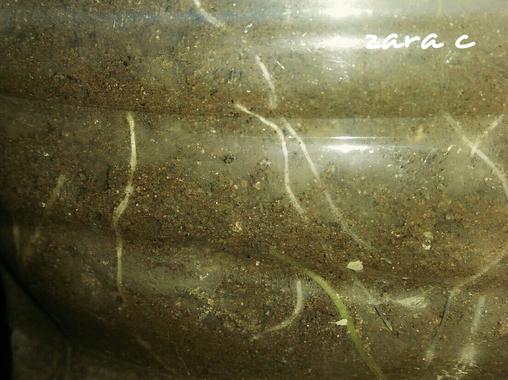 PhotoGrid_1564277424004.jpg