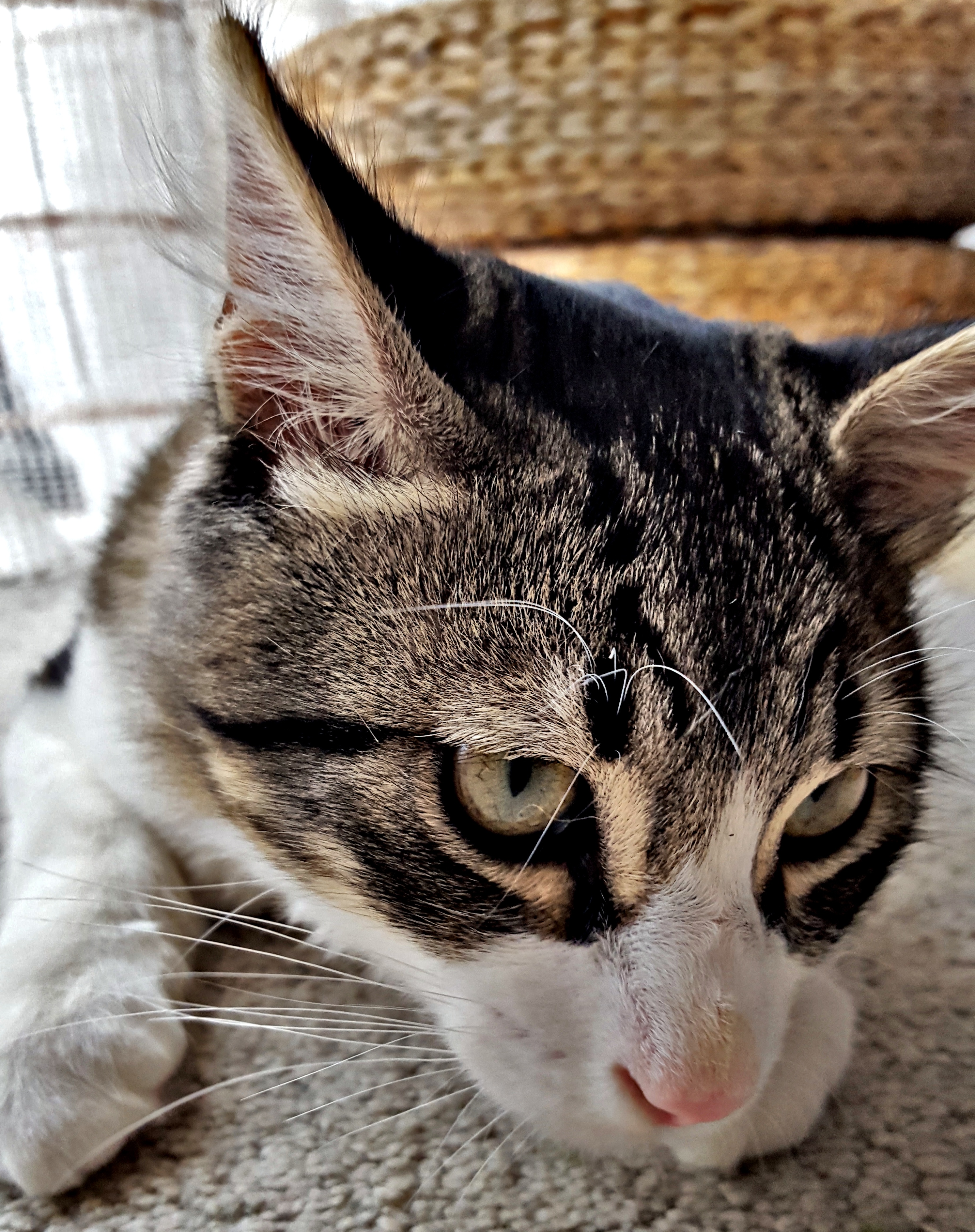 20190413_225625.jpg