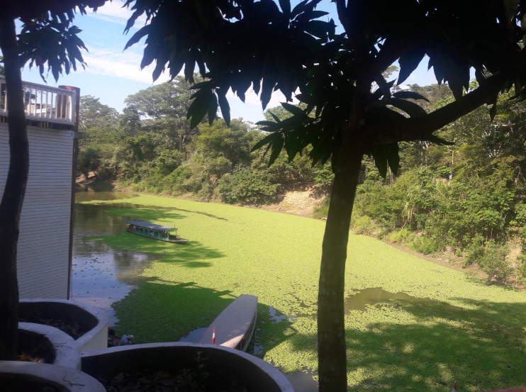 20180809_150544.jpg