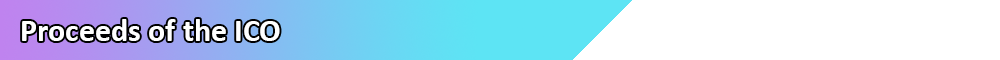 Section Header_4.png