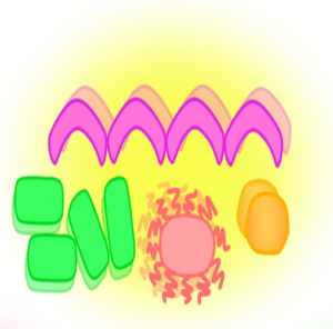 DSCCc - copia (2).png
