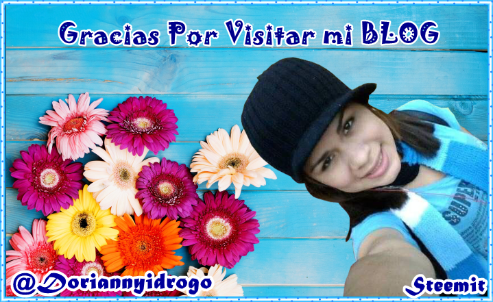 gracias.png