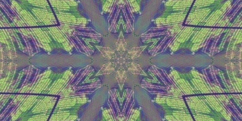 grass-psychic-hexa-star.jpg