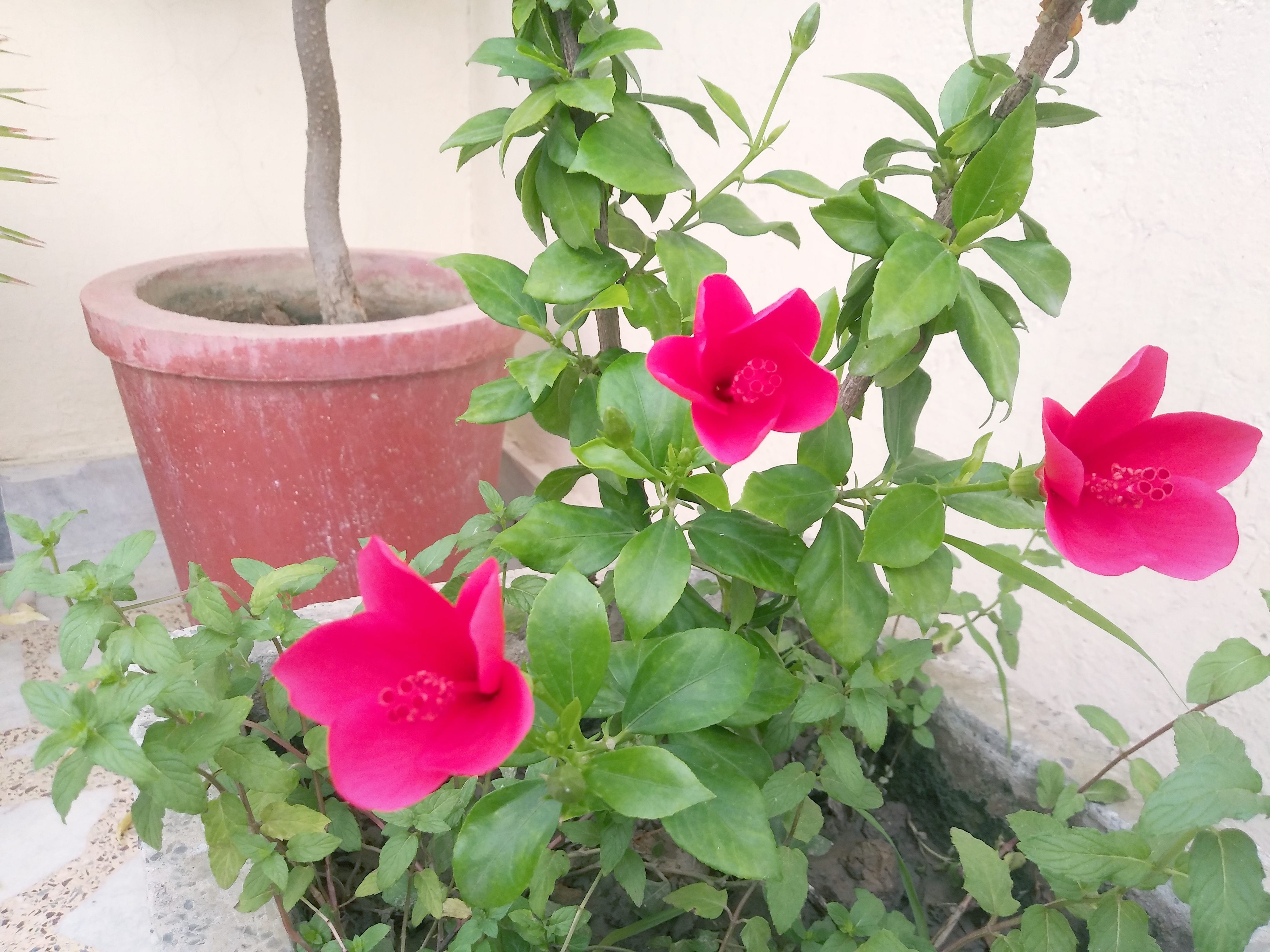 20190813_064214.jpg