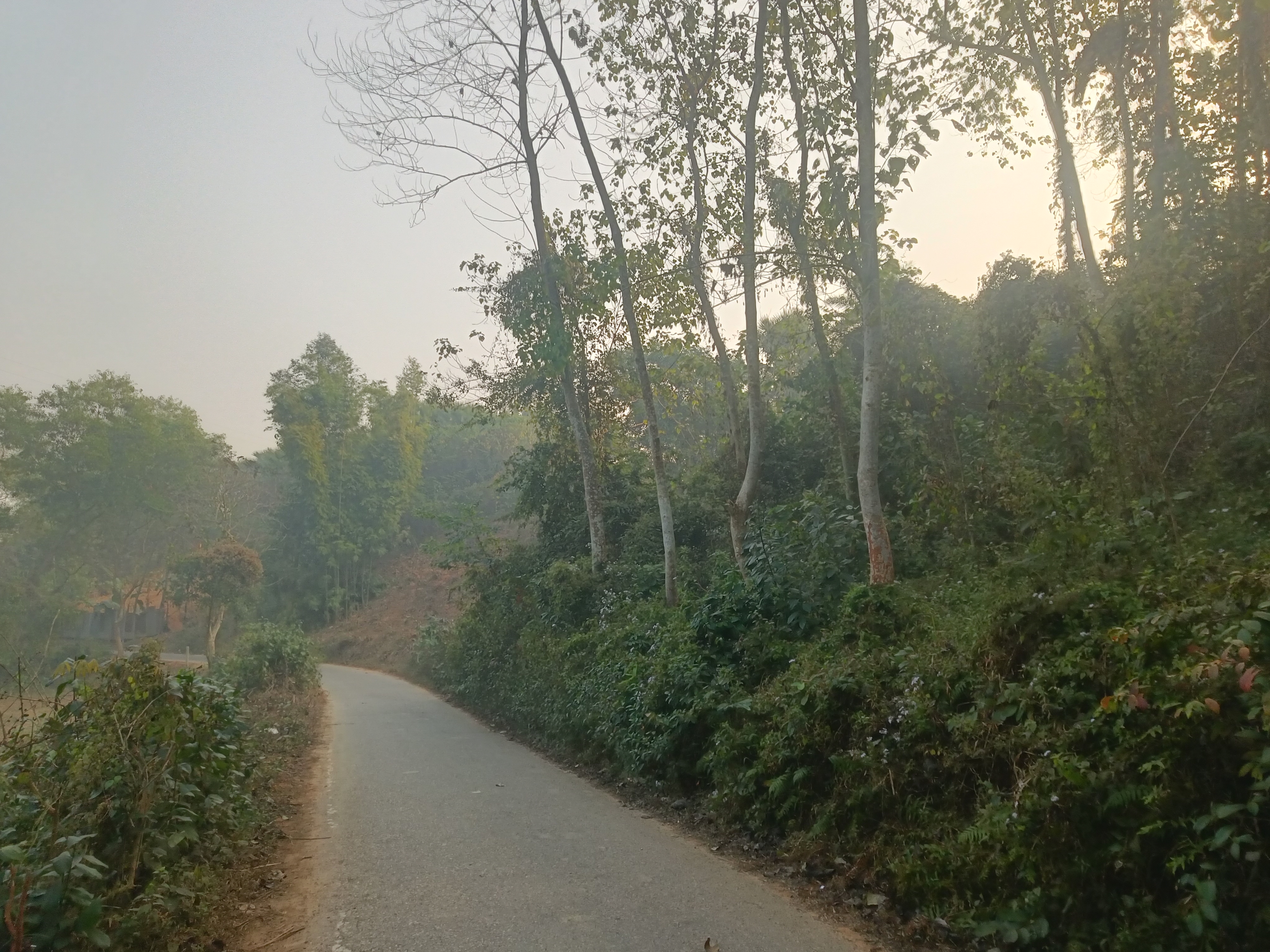 IMG20260117080818.jpg