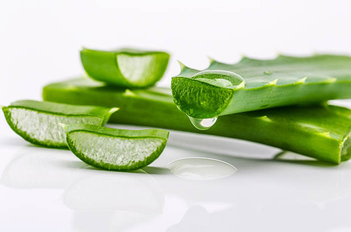 ini-alasan-aloe-vera-baik-untuk-kulit-kering.jpg