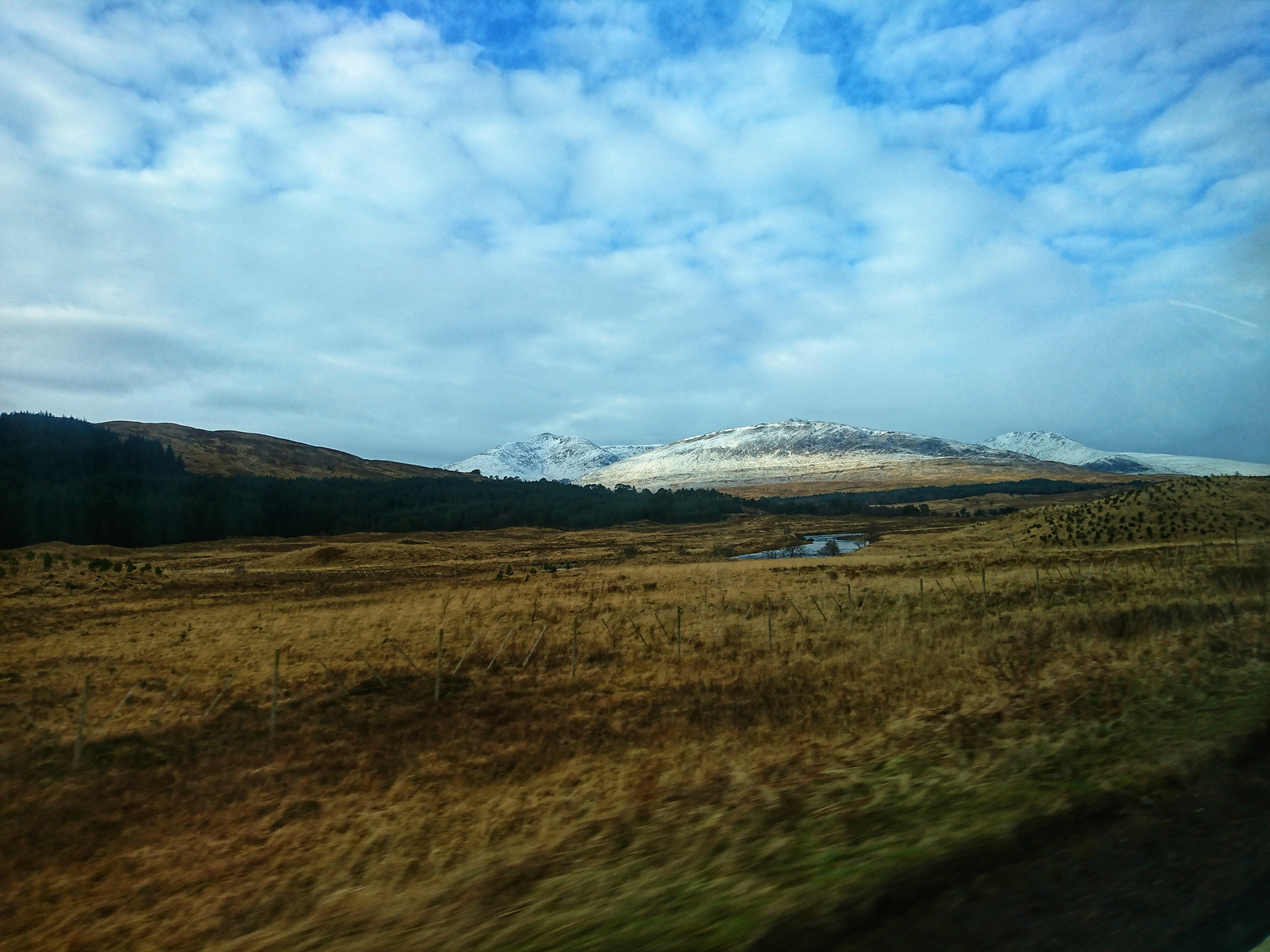 DSC_2357-01.jpeg