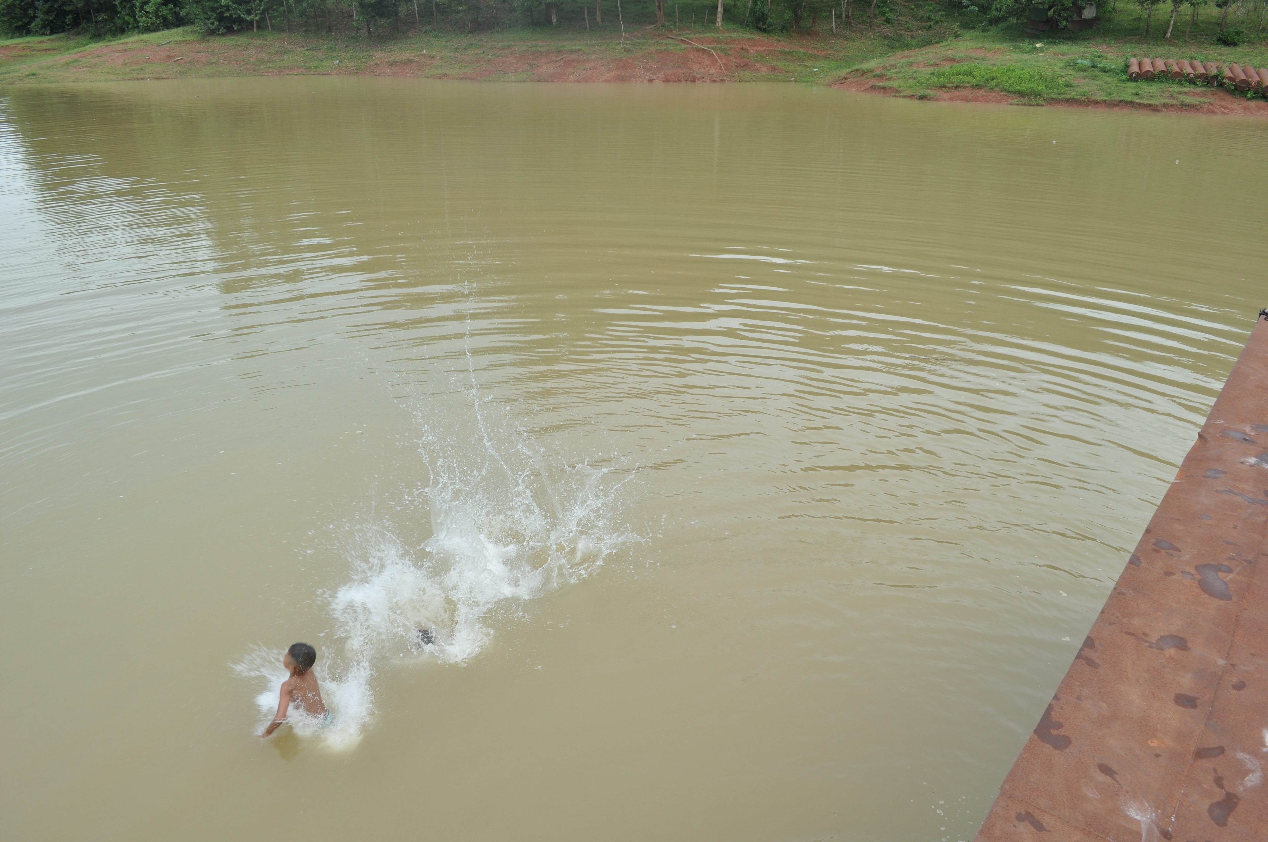 DSC_0986.JPG