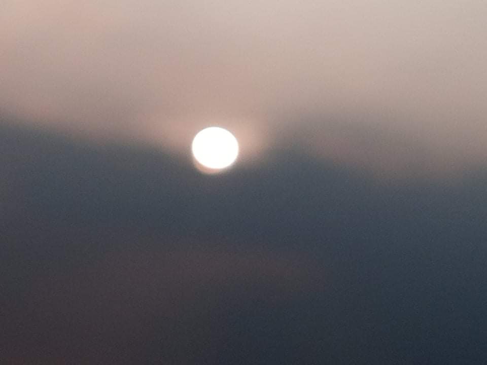 received_318825290196372.jpeg