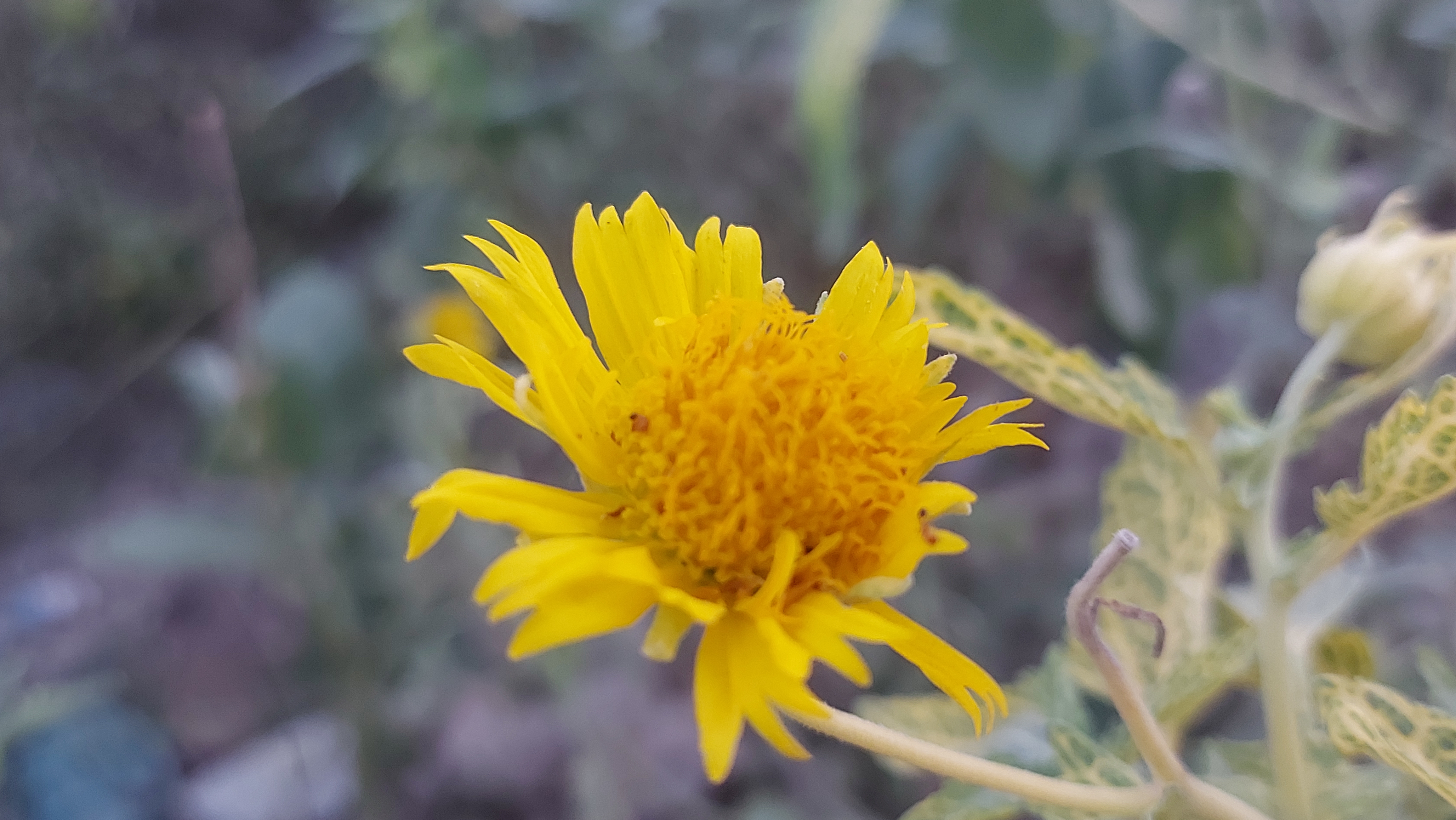 20210927_175650.jpg