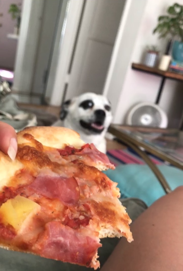 IMG_1037.jpeg