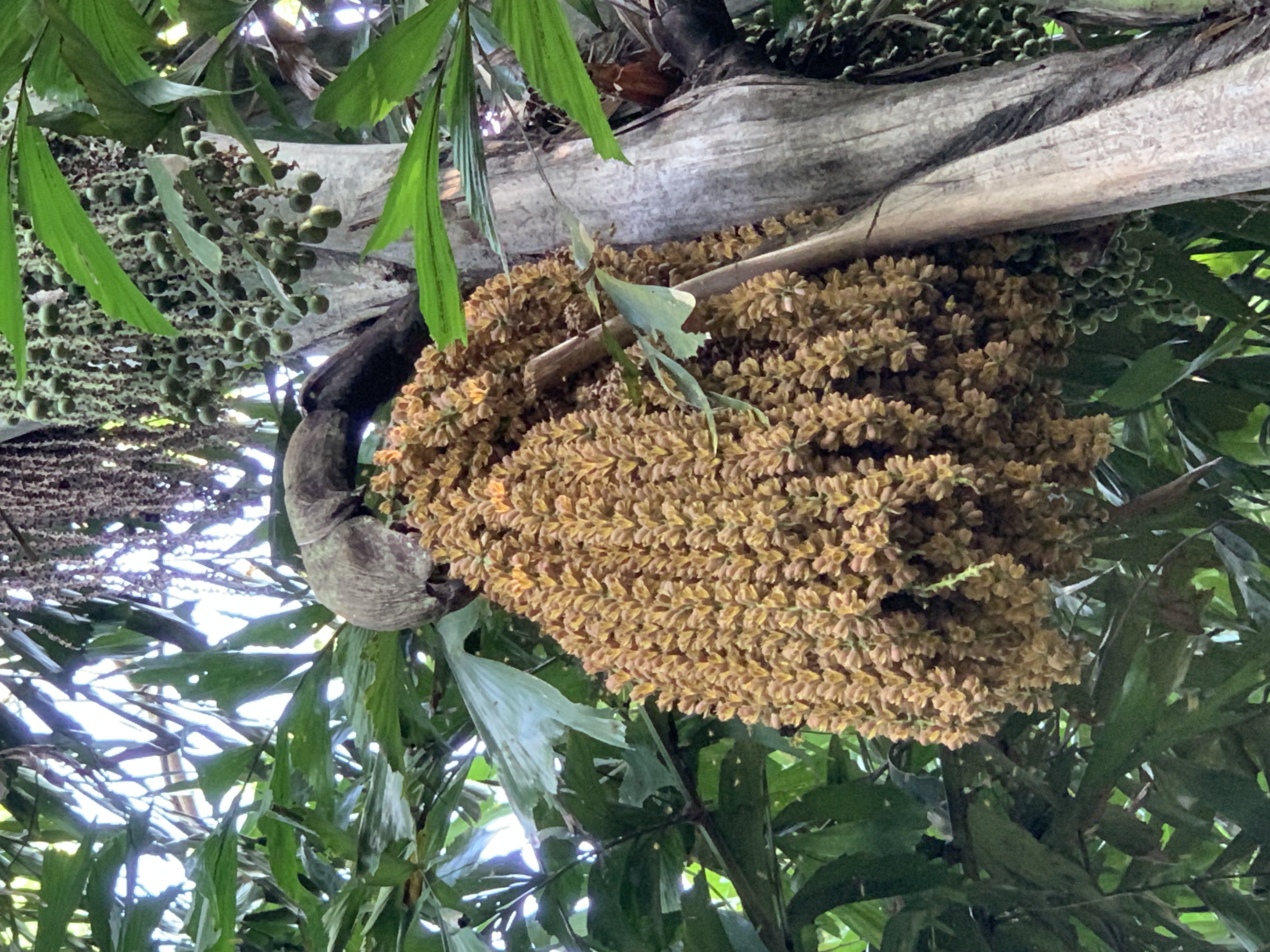 nature712.jpg