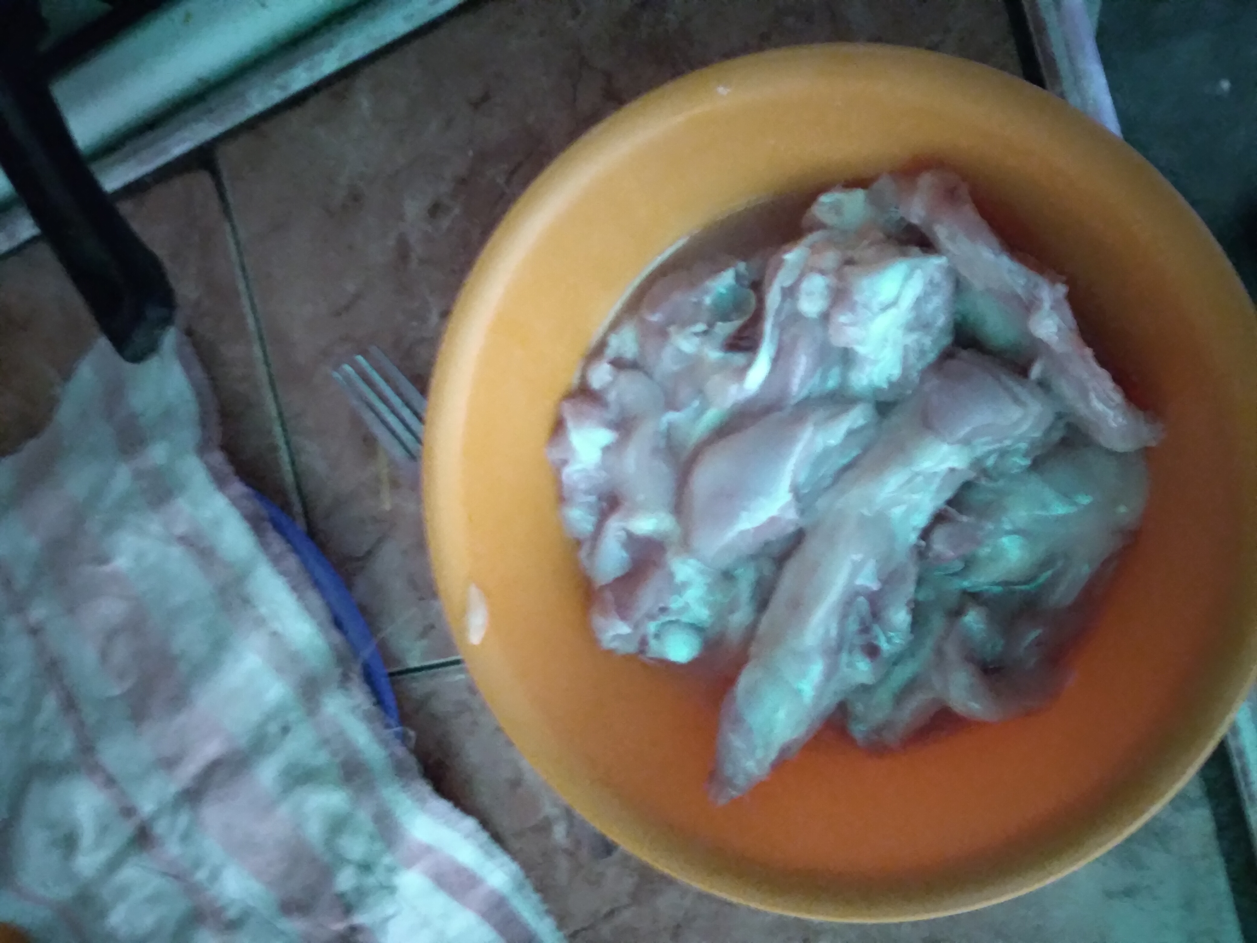 20210706_122250.jpg