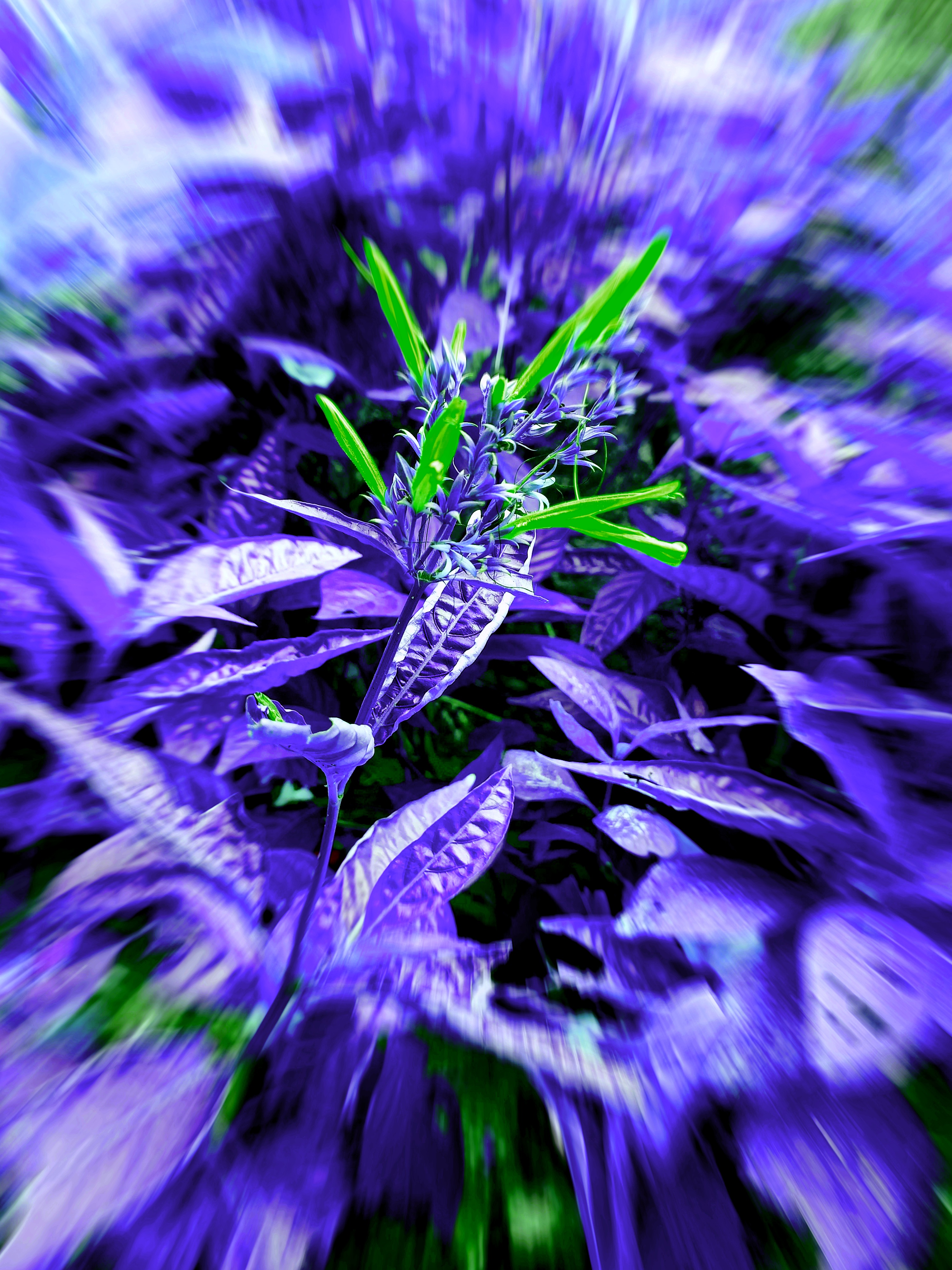 20210507_093219.jpg