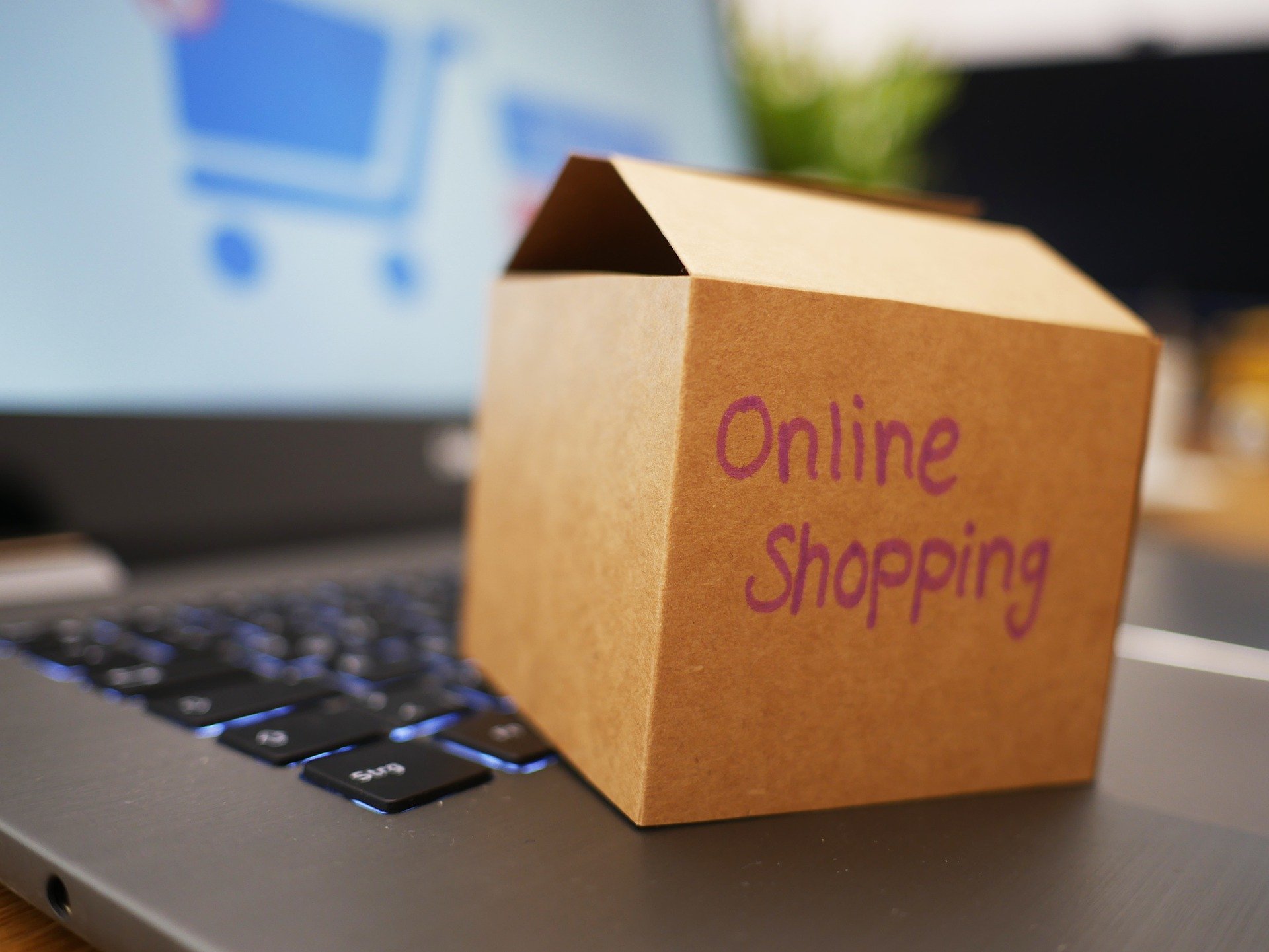 online-shopping-4532460_1920.jpg